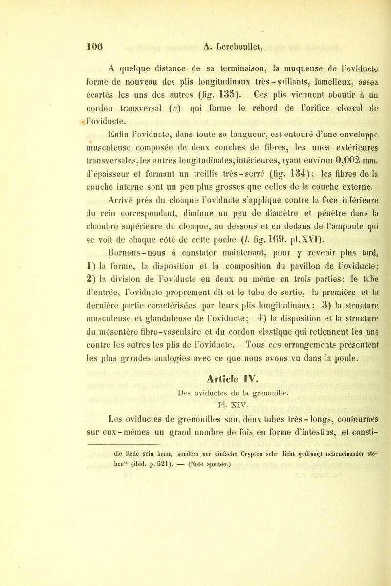 A quelque distance de sa terminaison, la muqueuse de l’oviducte forme de nouveau des plis longitudinaux très-saillants, lamelleux, assez écartés les uns des autres (fig. 135). Ces plis viennent aboutir à un cordon transversal (c) qui forme le rebord de l’orifice cloacal de l’oviducte. Enfin l’oviducte, dans toute sa longueur, est entouré d’une enveloppe musculeuse composée de deux couches de fibres, les unes extérieures transversales,les autres longitudinales,intérieures,ayant environ 0,002 mm. d’épaisseur et formant un treillis très-serré (fig. 134); les fibres de la couche interne sont un peu plus grosses que celles de la couche externe. Arrivé près du cloaque l’oviducte s’applique contre la face inférieure du rein correspondant, diminue un peu de diamètre et pénètre dans la chambre supérieure du cloaque, au dessous et en dedans de l’ampoule qui se voit de chaque côté de cette poche (/. fig. 169. pl.XVI). Bornons-nous à constater maintenant, pour y revenir plus tard, 1) la forme, la disposition et la composition du pavillon de l’oviducte; 2) la division de l’oviducte en deux ou même en trois parties: le tube d’entrée, l’oviducte proprement dit et le tube de sortie, la première et la dernière partie caractérisées par leurs plis longitudinaux; 3) la structure musculeuse et glanduleuse de l’oviducte; 4) la disposition et la structure du mésentère fibro-vasculaire et du cordon élastique qui retiennent les uns contre les autres les plis de l’oviducte. Tous ces arrangements présentent les plus grandes analogies avec ce que nous avons vu dans la poule. Article IV. Des oviductes de la grenouille. PL XIV. Les oviductes de grenouilles sont deux tubes très-longs, contournés sur eux-mêmes un grand nombre de fois en forme d’intestins, et consti- die Rede sein kann, sondera nur einfache Crypten sehr dicht gedrangt nebeneinander ste- hen“ (ibid. p. 521). — (Note ajoutée.)