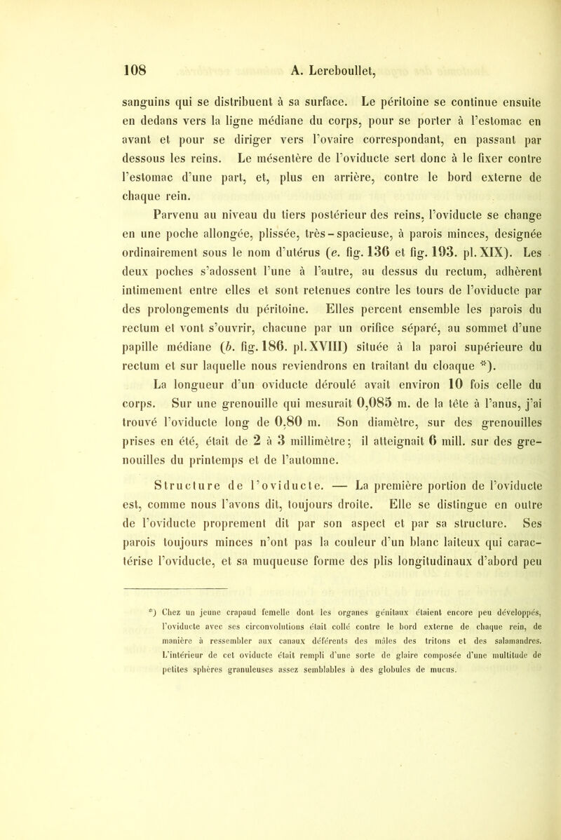 sanguins qui se distribuent à sa surface. Le péritoine se continue ensuite en dedans vers la ligne médiane du corps, pour se porter à l’estomac en avant et pour se diriger vers l’ovaire correspondant, en passant par dessous les reins. Le mésentère de l’oviducte sert donc à le fixer contre l’estomac d’une part, et, plus en arrière, contre le bord externe de chaque rein. Parvenu au niveau du tiers postérieur des reins, l’oviducte se change en une poche allongée, plissée, très-spacieuse, à parois minces, designée ordinairement sous le nom d’utérus (e. fig. 136 et fig. 193. pl. XIX). Les deux poches s’adossent l’une à l’autre, au dessus du rectum, adhèrent intimement entre elles et sont retenues contre les tours de l’oviducte par des prolongements du péritoine. Elles percent ensemble les parois du rectum et vont s’ouvrir, chacune par un orifice séparé, au sommet d’une papille médiane (b. fig. 186. pl. XVIII) située à la paroi supérieure du rectum et sur laquelle nous reviendrons en traitant du cloaque **). La longueur d’un oviducte déroulé avait environ 10 fois celle du corps. Sur une grenouille qui mesurait 0,085 m. de la tête à l’anus, j’ai trouvé l’oviducte long de 0,80 m. Son diamètre, sur des grenouilles prises en été, était de 2 à 3 millimètre; il atteignait 6 mill. sur des gre- nouilles du printemps et de l’automne. Structure de l’oviducte. — La première portion de l’oviducte est, comme nous l’avons dit, toujours droite. Elle se distingue en outre de l’oviducte proprement dit par son aspect et par sa structure. Ses parois toujours minces n’ont pas la couleur d’un blanc laiteux qui carac- térise l’oviducte, et sa muqueuse forme des plis longitudinaux d’abord peu *) Chez un jeune crapaud femelle dont les organes génitaux étaient encore peu développés, l’oviducte avec ses circonvolutions était collé contre le bord externe de chaque rein, de manière à ressembler aux canaux déférents des mâles des tritons et des salamandres. L'intérieur de cet oviducte était rempli d’une sorte de glaire composée d’une multitude de petites sphères granuleuses assez semblables à des globules de mucus.