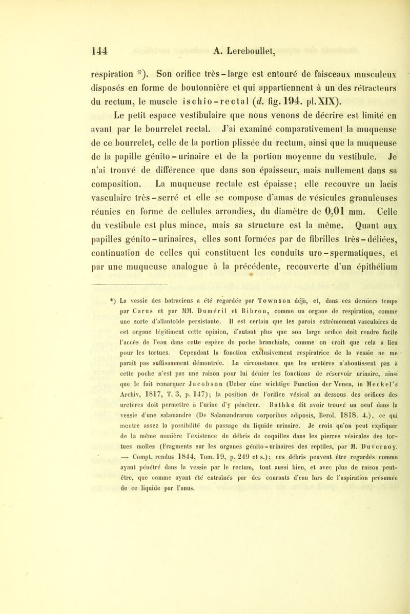 respiration **). Son orifice très-large est entouré de faisceaux musculeux disposés en forme de boutonnière et qui appartiennent à un des rétracteurs du rectum, le muscle ischio-rectal (d. fig. 194. pl.XIX). Le petit espace vestibulaire que nous venons de décrire est limité en avant par le bourrelet rectal. J’ai examiné comparativement la muqueuse de ce bourrelet, celle de la portion plissée du rectum, ainsi que la muqueuse de la papille génito-urinaire et de la portion moyenne du vestibule. Je n’ai trouvé de différence que dans son épaisseur, mais nullement dans sa composition. La muqueuse rectale est épaisse; elle recouvre un lacis vasculaire très-serré et elle se compose d’amas de vésicules granuleuses réunies en forme de cellules arrondies, du diamètre de 0,01 mm. Celle du vestibule est plus mince, mais sa structure est la même. Quant aux papilles génito-urinaires, elles sont formées par de fibrilles très-déliées, continuation de celles qui constituent les conduits uro-spermatiques, et par une muqueuse analogue à la précédente, recouverte d’un épithélium *) La vessie des batraciens a été regardée par Townson déjà, et, dans ces derniers temps par Carus et par MM. Duméril et Bibron, comme un organe de respiration, comme une sorte d’allantoïde persistante. 11 est certain que les parois extrêmement vasculaires de cet organe légitiment cette opinion, d’autant plus que son large orifice doit rendre facile l'accès de l’eau dans cette espèce de poche branchiale, comme on croit que cela a lieu pour les tortues. Cependant la fonction exclusivement respiratrice de la vessie ne me paraît pas suffisamment démontrée. La circonstance que les uretères n’aboutissent pas à cette poche n’est pas une raison pour lui dénier les fonctions de réservoir urinaire, ainsi que le fait remarquer Jacobson (Ueber eine wichtige Function der Venen, in Meckel’s Archiv, 1817, T. 3, p. 147); la position de l’orifice vésical au dessous des orifices des uretères doit permettre à l’urine d’y pénétrer. Rathke dit avoir trouvé un oeuf dans la vessie d’une salamandre (De Salamandrarum corporibus adiposis, Berol. 1818. 4.), ce qui montre assez la possibilité du passage du liquide urinaire. Je crois qu’on peut expliquer de la même manière l’existence de débris de coquilles dans les pierres vésicales des tor- tues molles (Fragments sur les organes génito-urinaires des reptiles, par M. Duvernoy. — Coinpt. rendus 1844, Tom. 19, p. 249 et s.); ces débris peuvent être regardés comme ayant pénétré dans la vessie par le rectum, tout aussi bien, et avec plus de raison peut- être, que comme ayant été entraînés par des courants d'eau lors de l’aspiration présumée de ce liquide par l’anus.