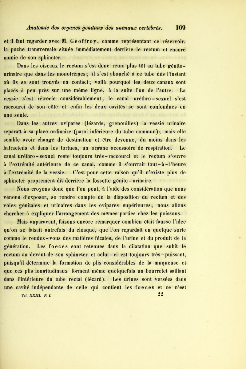 et il faut regarder avec M. Geoffroy, comme représentant ce réservoir, la poche transversale située immédiatement derrière le rectum et encore munie de son sphincter. Dans les oiseaux le rectum s’est donc réuni plus tôt au tube génito- urinaire que dans les monotrèmes; il s’est abouché à ce tube dès l’instant où ils se sont trouvés en contact; voilà pourquoi les deux canaux sont placés à peu près sur une même ligne, à la suite l’un de l’autre. La vessie s’est rétrécie considérablement, le canal uréthro-sexuel s’est raccourci de son côté et enfin les deux cavités se sont confondues en une seule. Dans les autres ovipares (lézards, grenouilles) la vessie urinaire reparaît à sa place ordinaire (paroi inférieure du tube commun); mais elle semble avoir changé de destination et être devenue, du moins dans les batraciens et dans les tortues, un organe accessoire de respiration. Le canal uréthro-sexuel reste toujours très-raccourci et le rectum s’ouvre à l’extrémité antérieure de ce canal, comme il s’ouvrait tout-à -l’heure à l’extrémité de la vessie. C’est pour cette raison qu’il n’existe plus de sphincter proprement dit derrière la fossette génito-urinaire. Nous croyons donc que l’on peut, à l’aide des considération que nous venons d’exposer, se rendre compte de la disposition du rectum et des voies génitales et urinaires dans les ovipares supérieures; nous allons chercher à expliquer l’arrangement des mêmes parties chez les poissons. Mais auparavant, faisons encore remarquer combien était fausse l’idée qu’on se faisait autrefois du cloaque, que l’on regardait en quelque sorte comme le rendez-vous des matières fécales, de l’urine et du produit de la génération. Les foeces sont retenues dans la dilatation que subit le rectum au devant de son sphincter et celui-ci est toujours très-puissant, puisqu’il détermine la formation de plis considérables de la muqueuse et que ces plis longitudinaux forment même quelquefois un bourrelet saillant dans l’intérieure du tube rectal (lézard). Les urines sont versées dans une cavité indépendante de celle qui contient les foeces et ce n’est 22 Vol. XXIII. P. I.