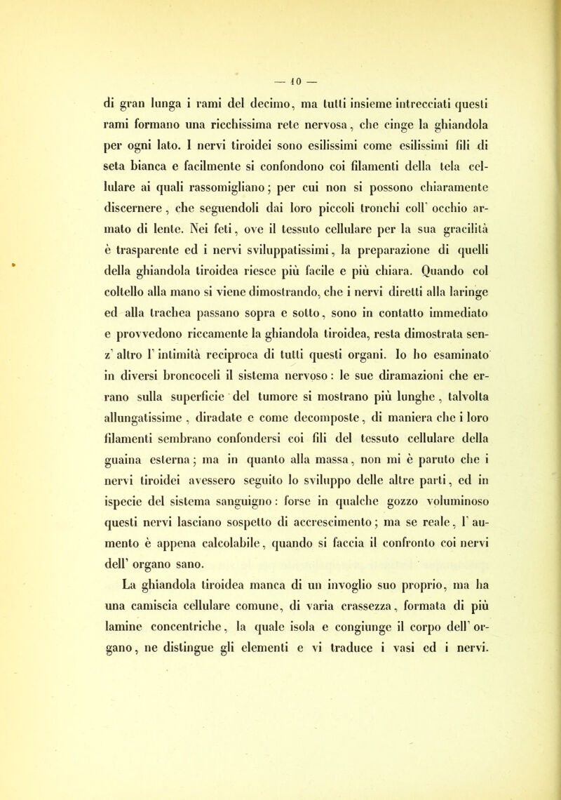 di gran lunga i rami del decimo, ma tutti insieme intrecciati questi rami formano una ricchissima rete nervosa, che cinge la ghiandola per ogni lato. 1 nervi tiroidei sono esilissimi come esilissimi fili di seta bianca e facilmente si confondono coi filamenti della tela cel- lulare ai quali rassomigliano ; per cui non si possono chiaramente discernere , che seguendoli dai loro piccoli tronchi coll occhio ar- mato di lente. Nei feti, ove il tessuto cellulare per la sua gracilità è trasparente ed i nervi sviluppatissimi, la preparazione di quelli della ghiandola tiroidea riesce più facile e più chiara. Quando col coltello alla mano si viene dimostrando, che i nervi diretti alla laringe ed alla trachea passano sopra e sotto, sono in contatto immediato e provvedono riccamente la ghiandola tiroidea, resta dimostrata sen- z altro F intimità reciproca di tutti questi organi. Io ho esaminato in diversi broncoceli il sistema nervoso : le sue diramazioni che er- rano sulla superficie del tumore si mostrano più lunghe , talvolta allungatissime , diradate e come decomposte, di maniera che i loro filamenti sembrano confondersi coi fili del tessuto cellulare della guaina esterna ; ma in quanto alla massa, non mi è paruto che i nervi tiroidei avessero seguito lo sviluppo delle altre parti, ed in ispecie del sistema sanguigno : forse in qualche gozzo voluminoso questi nervi lasciano sospetto di accrescimento ; ma se reale, V au- mento è appena calcolabile, quando si faccia il confronto coi nervi dell1 organo sano. La ghiandola tiroidea manca di un invoglio suo proprio, ma ha una camiscia cellulare comune, di varia crassezza, formata di più lamine concentriche, la quale isola e congiunge il corpo dell1 or- gano, ne distingue gli elementi e vi traduce i vasi ed i nervi.