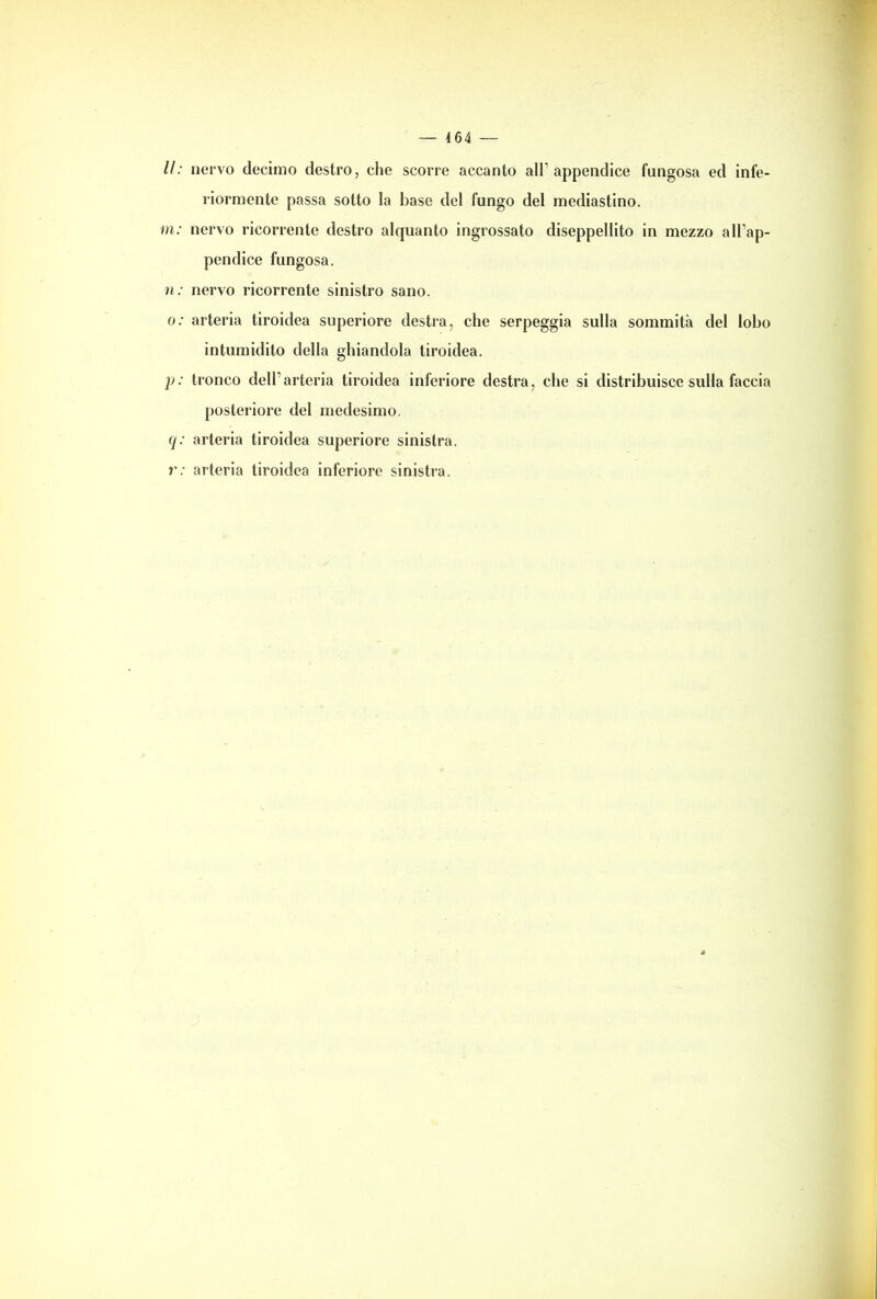 — 4 64 — lì: nervo decimo destro, che scorre accanto all1 appendice fungosa ed infe- riormente passa sotto la base del fungo del mediastino. in: nervo ricorrente destro alquanto ingrossato diseppellito in mezzo all’ap- pendice fungosa. n: nervo ricorrente sinistro sano. o: arteria tiroidea superiore destra, che serpeggia sulla sommità del lobo intumidito della ghiandola tiroidea. p: tronco dell’arteria tiroidea inferiore destra, che si distribuisce sulla faccia posteriore del medesimo. q: arteria tiroidea superiore sinistra. r: arteria tiroidea inferiore sinistra.