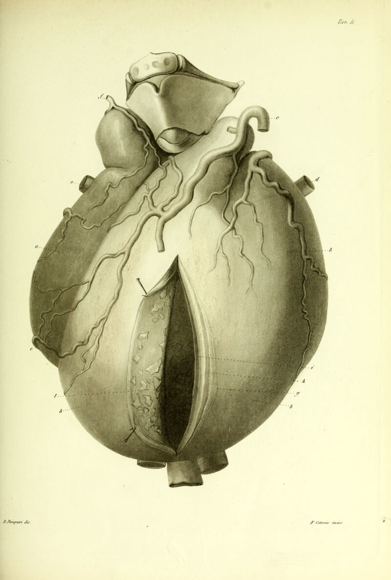 ////'. 7/ -B.jftm/pitrr (7ù\ {'///erto r/iciri’