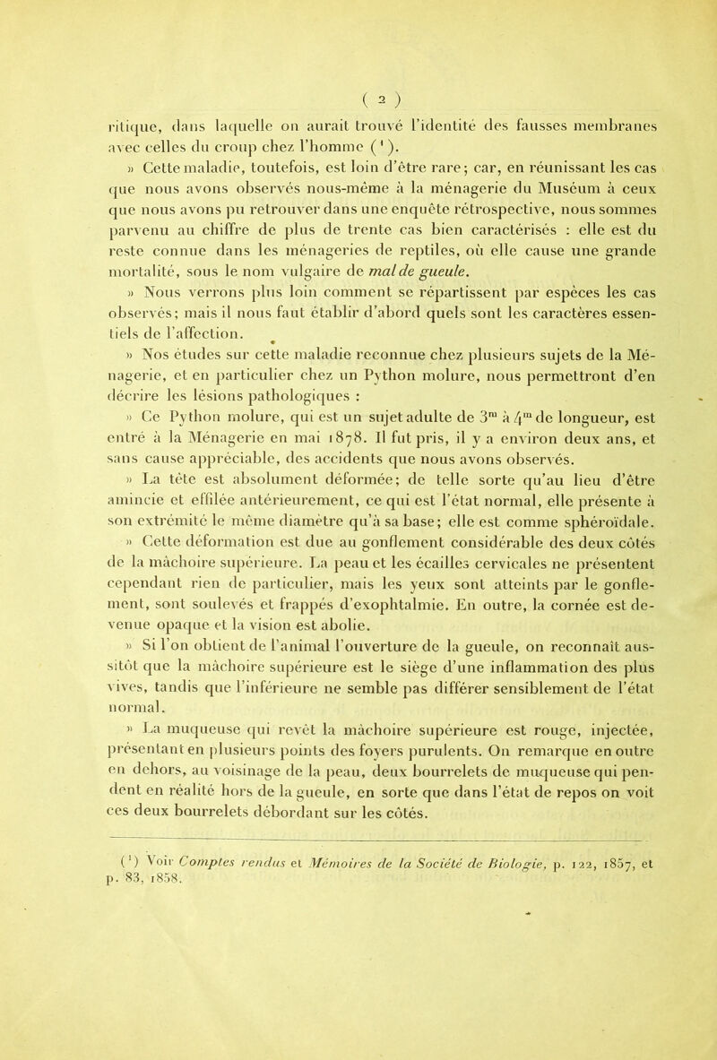 ritique, dans laquelle on aurait trouvé l’identité des fausses membranes avec celles du croup chez l’homme (' ), » Cette maladie, toutefois, est loin d’être rare; car, en réunissant les cas que nous avons observés nous-même à la ménagerie du Muséum à ceux que nous avons pu retrouver dans une enquête rétrospective, nous sommes parvenu au chiffre de plus de trente cas bien caractérisés : elle est du reste connue dans les ménageries de reptiles, où elle cause une grande mortalité, sous le nom vulgaire de mal de gueule. » Nous verrons plus loin comment se répartissent par espèces les cas observés; mais il nous faut établir d’abord quels sont les caractères essen- tiels de l’affection. » Nos études sur cette maladie reconnue chez plusieurs sujets de la Mé- nagerie, et en particulier chez un Python molure, nous permettront d’en décrire les lésions pathologiques : » Ce Python rnolure, qui est un sujet adulte de 3™ à 4'“ de longueur, est entré à la Ménagerie en mai 1878. Il fut pris, il y a environ deux ans, et sans cause appréciable, des accidents que nous avons observés. » I.a tête est absolument déformée; de telle sorte qu’au lieu d’être amincie et effilée antérieurement, ce qui est l’état normal, elle présente à son extrémité le même diamètre qu’à sa base; elle est comme sphéroïdale. » Cette déformation est due au gonflement considérable des deux côtés de la mâchoire supérieure. La peau et les écailles cervicales ne présentent cependant rien de particulier, mais les yeux sont atteints par le gonfle- ment, sont soulevés et frappés d’exophtalmie. En outre, la cornée est de- venue opaque et la vision est abolie. » Si l’on obtient de l’animal l’ouverture de la gueule, on reconnaît aus- sitôt que la mâchoire supérieure est le siège d’une inflammation des plus vives, tandis que l’inférieure ne semble pas différer sensiblement de l’état normal. )> La muqueuse qui revêt la mâchoire supérieure est rouge, injectée, présentant en plusieurs points des foyers purulents. On remarque en outre en dehors, au voisinage de la peau, deux bourrelets de muqueuse qui pen- dent en réalité hors de la gueule, en sorte que dans l’état de repos on voit ces deux bourrelets débordant sur les côtés. (') Voir Comptes rendus et Mémoires de la Société de Biologie, p. 122, 1857, et p. 83, i858.