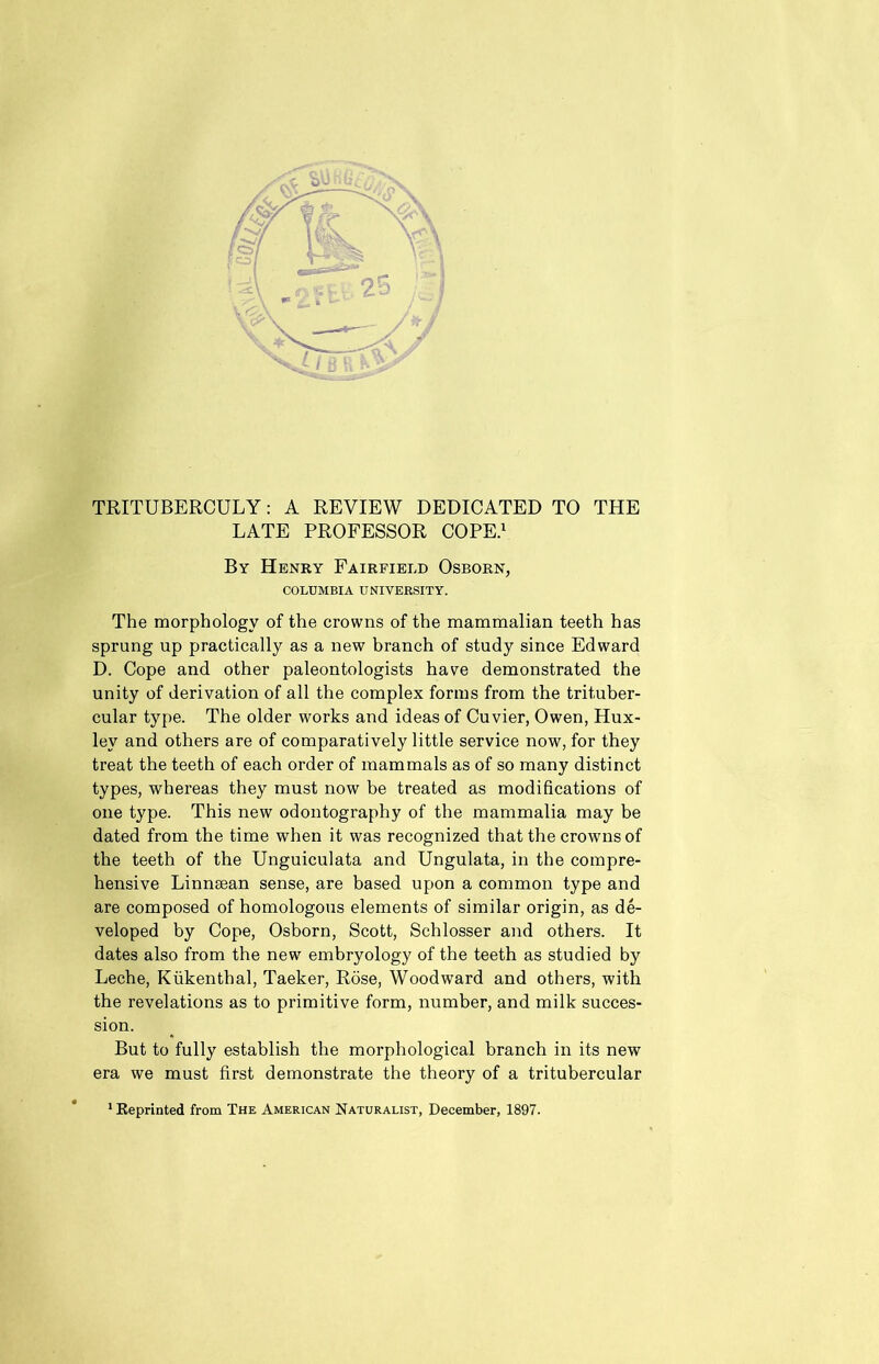 TRITUBERCULY: A REVIEW DEDICATED TO THE LATE PROFESSOR COPE.1 By Henry Fairfield Osborn, COLUMBIA UNIVERSITY. The morphology of the crowns of the mammalian teeth has sprung up practically as a new branch of study since Edward D. Cope and other paleontologists have demonstrated the unity of derivation of all the complex forms from the trit.uber- cular type. The older works and ideas of Cuvier, Owen, Hux- ley and others are of comparatively little service now, for they treat the teeth of each order of mammals as of so many distinct types, whereas they must now be treated as modifications of one type. This new odontography of the mammalia may be dated from the time when it was recognized that the crowns of the teeth of the Unguiculata and Ungulata, in the compre- hensive Linnsean sense, are based upon a common type and are composed of homologous elements of similar origin, as de- veloped by Cope, Osborn, Scott, Schlosser and others. It dates also from the new embryology of the teeth as studied by Leche, Kiikentbal, Taeker, Rose, Woodward and others, with the revelations as to primitive form, number, and milk succes- sion. But to fully establish the morphological branch in its new era we must first demonstrate the theory of a tritubercular 1 Keprinted from The American Naturalist, December, 1897.