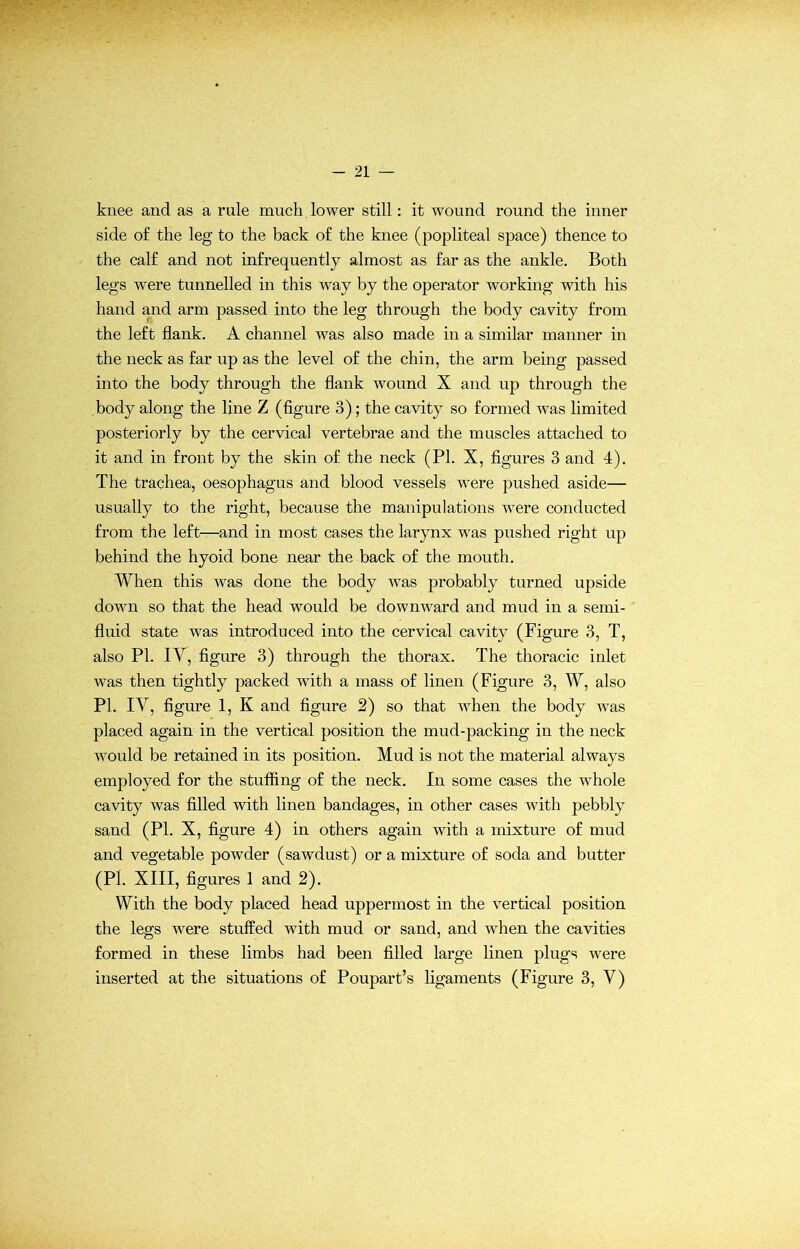 knee and as a rule much lower still: it wound round the inner side of the leg to the back of the knee (popliteal space) thence to the calf and not infrequently almost as far as the ankle. Both legs were tunnelled in this way by the operator working with his hand and arm passed into the leg through the body cavity from the left flank. A channel was also made in a similar manner in the neck as far up as the level of the chin, the arm being passed into the body through the flank wound X and up through the body along the line Z (figure 3); the cavity so formed was limited posteriorly by the cervical vertebrae and the muscles attached to it and in front by the skin of the neck (PI. X, figures 3 and 4). The trachea, oesophagus and blood vessels were pushed aside— usually to the right, because the manipulations were conducted from the left—and in most cases the larynx was pushed right up behind the hyoid bone near the back of the mouth. When this was done the body was probably turned upside down so that the head would be downward and mud in a semi- fluid state was introduced into the cervical cavity (Figure 3, T, also PI. IV, figure 3) through the thorax. The thoracic inlet was then tightly packed with a mass of linen (Figure 3, W, also PI. IV, figure 1, K and figure 2) so that when the body was placed again in the vertical position the mud-packing in the neck would be retained in its position. Mud is not the material always employed for the stuffing of the neck. In some cases the whole cavity was filled with linen bandages, in other cases with pebbly sand (PI. X, figure 4) in others again with a mixture of mud and vegetable powder (sawdust) or a mixture of soda and butter (Pi. XIII, figures 1 and 2). With the body placed head uppermost in the vertical position the legs were stuffed with mud or sand, and when the cavities formed in these limbs had been filled large linen plugs were inserted at the situations of Poupart’s ligaments (Figure 3, V)