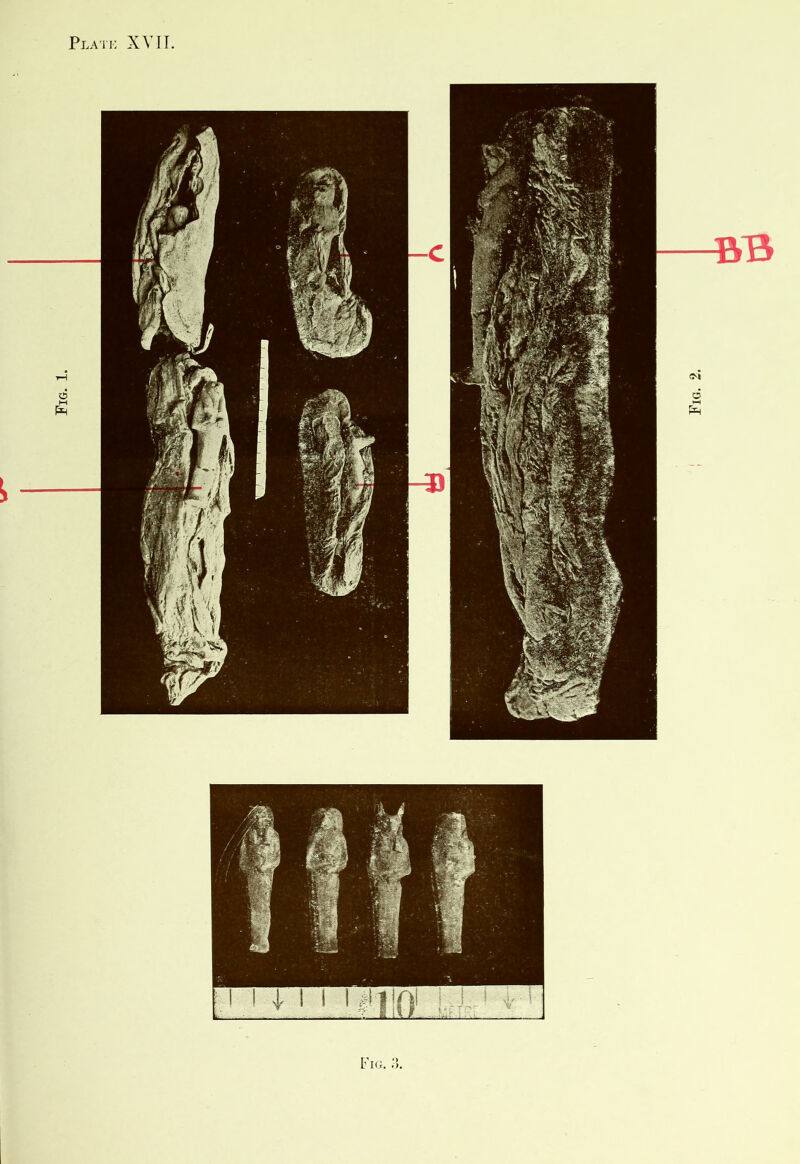 Fig.