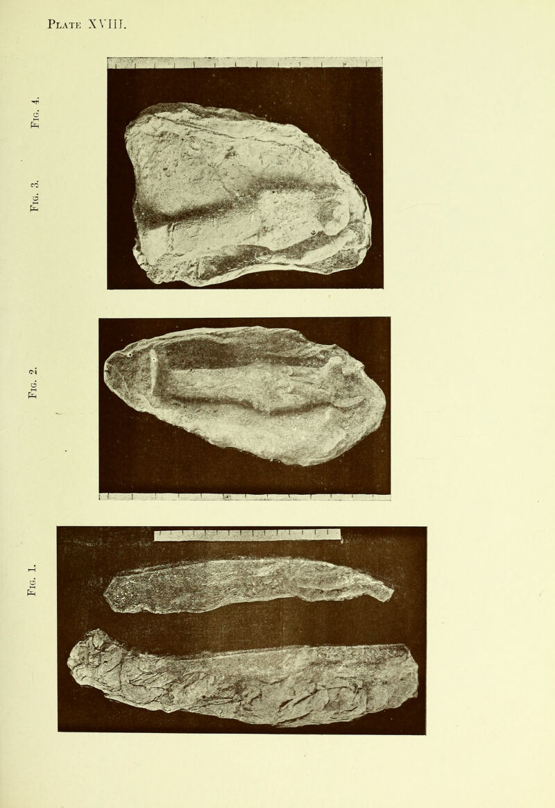 Fig. 2. Fig. 3. Fig.