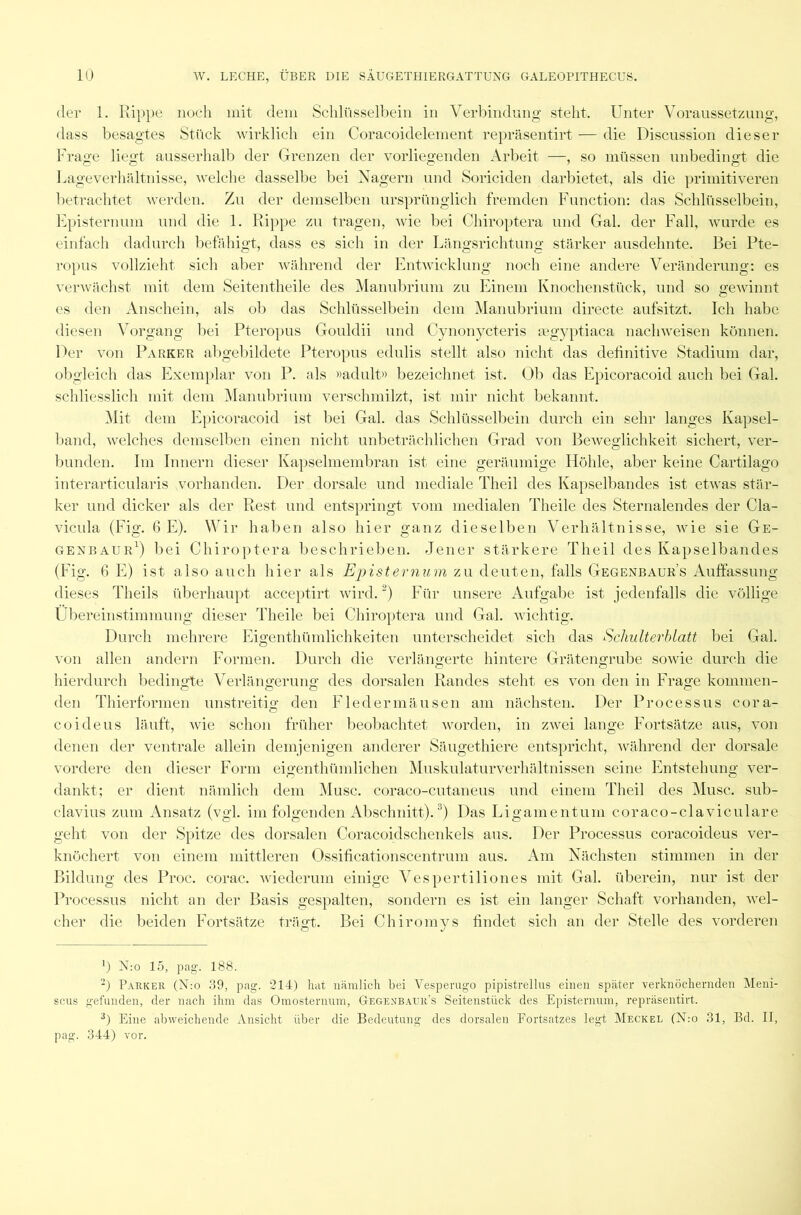 der 1. Rippe noch mit dem Schlüsselbein in Verbindung steht. Unter Voraussetzung, dass besagtes Stück wirklich ein Coracoidelement repräsentirt — die Discussion dieser Frage liegt ausserhalb der Grenzen der vorliegenden Arbeit —, so müssen unbedingt die Lageverhältnisse, welche dasselbe bei Nagern und Soriciden darbietet, als die primitiveren betrachtet werden. Zu der demselben ursprünglich fremden Function: das Schlüsselbein, Episternum und die 1. Rippe zu tragen, wie bei Chiroptera und Gal. der Fall, wurde es einfach dadurch befähigt, dass es sich in der Längsrichtung stärker ausdehnte. Bei Pte- ropus vollzieht sich aber während der Entwicklung noch eine andere Veränderung: es verwächst mit dem Seitentheile des Manubrium zu Einem Knochenstück, und so gewinnt es den Anschein, als ob das Schlüsselbein dem Manubrium directe aufsitzt. Ich habe diesen Vorgang bei Pteropus Gouldii und Cynonycteris aegyptiaca nachweisen können. Der von Parker abgebildete Pteropus edulis stellt also nicht das definitive Stadium dar, obgleich das Exemplar von P. als »adult» bezeichnet ist. Ob das Epicoracoid auch bei Gal. schliesslich mit dem Manubrium verschmilzt, ist mir nicht bekannt. Mit dem Epicoracoid ist bei Gal. das Schlüsselbein durch ein sehr langes Kapsel- band, welches demselben einen nicht unbeträchlichen Grad von Beweglichkeit sichert, ver- bunden. Im Innern dieser Kapselmembran ist eine geräumige Höhle, aber keine Cartilago interarticularis vorhanden. Der dorsale und mediale Theil des Kapselbandes ist etwas stär- ker und dicker als der Rest und entspringt vom medialen Theile des Sternalendes der Cla- vicula (Fig. 6 E). Wir haben also hier ganz dieselben Verhältnisse, wie sie Ge- genbaur1) bei Chiroptera beschrieben. Jener stärkere Theil des Kapselbandes (Fig. 6 E) ist also auch hier als Episternum zu deuten, falls Gegenbaur’s Auffassung dieses Theils überhaupt acceptirt wird.2) Für unsere Aufgabe ist jedenfalls die völlige Übereinstimmung dieser Theile bei Chiroptera und Gal. wichtig. Durch mehrere Eigenthümlichkeiten unterscheidet sich das Schulterblatt bei Gal. von allen andern Formen. Durch die verlängerte hintere Grätengrube sowie durch die hierdurch bedingte Verlängerung des dorsalen Randes steht es von den in Frage kommen- den Thierformen unstreitig den Fledermäusen am nächsten. Der Processus cora- coideus läuft, wie schon früher beobachtet worden, in zwei lange Fortsätze aus, von denen der ventrale allein demjenigen anderer Säugethiere entspricht, während der dorsale vordere den dieser Form eigenthümlichen Muskulaturverhältnissen seine Entstehung ver- dankt; er dient nämlich dem Muse, coraco-cutaneus und einem Theil des Muse, sub- clavius zum Ansatz (vgl. im folgenden Abschnitt).3) Das Ligamentum coraco-claviculare geht von der Spitze des dorsalen Coracoidschenkels aus. Der Processus coracoideus ver- knöchert von einem mittleren Ossificationscentrum aus. Am Nächsten stimmen in der Bildung des Proc. corac. wiederum einige Vespertiliones mit Gal. überein, nur ist der Processus nicht an der Basis gespalten, sondern es ist ein langer Schaft vorhanden, wel- cher die beiden Fortsätze trägt. Bei Chiromys findet sich an der Stelle des vorderen *) N:o 15, pag-. 188. 2) Parker (N:o .39, pag. 214) hat nämlich bei Vesperugo pipistrellus einen später verknöchernden Meni- scus gefunden, der nach ihm das Omosternum, Gegenbaur’s Seitenstück des Episternum, repräsentirt. 3) Eine abweichende Ansicht über die Bedeutung des dorsalen Fortsatzes legt Meckel (N:o 31, Bd. II, pag. 344) vor.