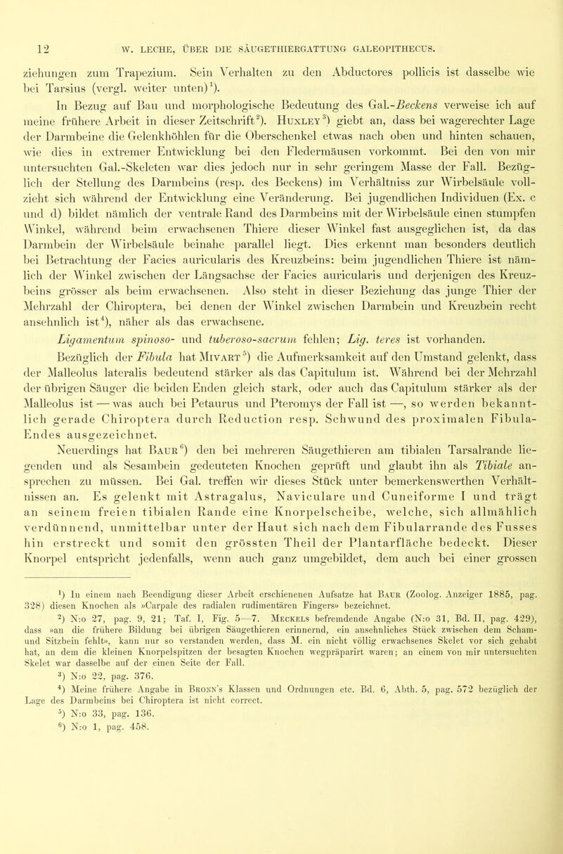 Ziehungen zum Trapezium. Sein Verhalten zu den Abductores pollicis ist dasselbe wie bei Tarsius (vergl. weiter unten)1). In Bezug auf Bau und morphologische Bedeutung des Gal .-Beckens verweise ich auf meine frühere Arbeit in dieser Zeitschrift2). Huxley3) giebt an, dass bei wagerechter Lage der Darmbeine die Gelenkhöhlen für die Oberschenkel etwas nach oben und hinten schauen, wie dies in extremer Entwicklung bei den Fledermäusen vorkommt. Bei den von mir untersuchten Gal.-Skeleten war dies jedoch nur in sehr geringem Masse der Fall. Bezüg- lich der Stellung des Darmbeins (resp. des Beckens) im Verhältniss zur Wirbelsäule voll- zieht sich während der Entwicklung eine Veränderung. Bei jugendlichen Individuen (Ex. c und d) bildet nämlich der ventrale Rand des Darmbeins mit der Wirbelsäule einen stumpfen Winkel, während beim erwachsenen Thiere dieser Winkel fast ausgeglichen ist, da das Darmbein der Wirbelsäule beinahe parallel liegt. Dies erkennt man besonders deutlich bei Betrachtung der Facies auricularis des Kreuzbeins: beim jugendlichen Thiere ist näm- lich der Winkel zwischen der Längsachse der Facies auricularis und derjenigen des Kreuz- beins grösser als beim erwachsenen. Also steht in dieser Beziehung das junge Thier der Mehrzahl der Chiroptera, bei denen der Winkel zwischen Darmbein und Kreuzbein recht ansehnlich ist4), näher als das erwachsene. Ligamentum spinoso- und tuberoso-sacrum fehlen; Lig. teres ist vorhanden. Bezüglich der Fibula hat Mivart 5 6) die Aufmerksamkeit auf den Umstand gelenkt, dass der Malleolus lateralis bedeutend stärker als das Capitulum ist. Während bei der Mehrzahl der übrigen Säuger die beiden Enden gleich stark, oder auch das Capitulum stärker als der Malleolus ist — was auch bei Petaurus und Pteromys der Fall ist —, so werden bekannt- lich gerade Chiroptera durch Reduction resp. Schwund des proximalen Fibula- Endes ausgezeichnet. Neuerdings hat Baur'1) den bei mehreren Säugethieren am tibialen Tarsalrande lie- genden und als Sesambein gedeuteten Knochen geprüft und glaubt ihn als Tibiale an- sprechen zu müssen. Bei Gal. treffen wir dieses Stück unter bemerkenswerthen Verhält- nissen an. Es gelenkt mit Astragalus, Naviculare und Cuneiforme I und trägt an seinem freien tibialen Rande eine Knorpelscheibe, welche, sich allmählich verdünnend, unmittelbar unter der Haut sich nach dem Fibularrande des Fusses hin erstreckt und somit den grössten Theil der Plantarfläche bedeckt. Dieser Knorpel entspricht jedenfalls, wenn auch ganz umgebildet, dem auch bei einer grossen b In einem nach Beendigung dieser Arbeit erschienenen Aufsatze hat Baur (Zoolog. Anzeiger 1885, pag. 328) diesen Knochen als »Carpale des radialen rudimentären Fingers» bezeichnet. 2) N:o 27, pag. 9, 21; Taf. I, Fig. 5—7. Meckels befremdende Angabe (N:o 31, Bd. II, pag. 429), dass »an die frühere Bildung bei übrigen Säugethieren erinnernd, ein ansehnliches Stück zwischen dem Scham- und Sitzbein fehlt», kann nur so verstanden werden, dass M. ein nicht völlig erwachsenes Skelet vor sich gehabt hat, an dem die kleinen Knorpelspitzen der besagten Knochen wegpräparirt waren; an einem von mir untersuchten Skelet war dasselbe auf der einen Seite der Fall. 3) N:o 22, pag. 376. 4) Meine frühere Angabe in Bronn’s Klassen und Ordnungen etc. Bd. 6, Abth. 5, pag. 572 bezüglich der Lage des Darmbeins bei Chiroptera ist nicht correct. 5) N:o 33, pag. 136. 6) N:o 1, pag. 458.