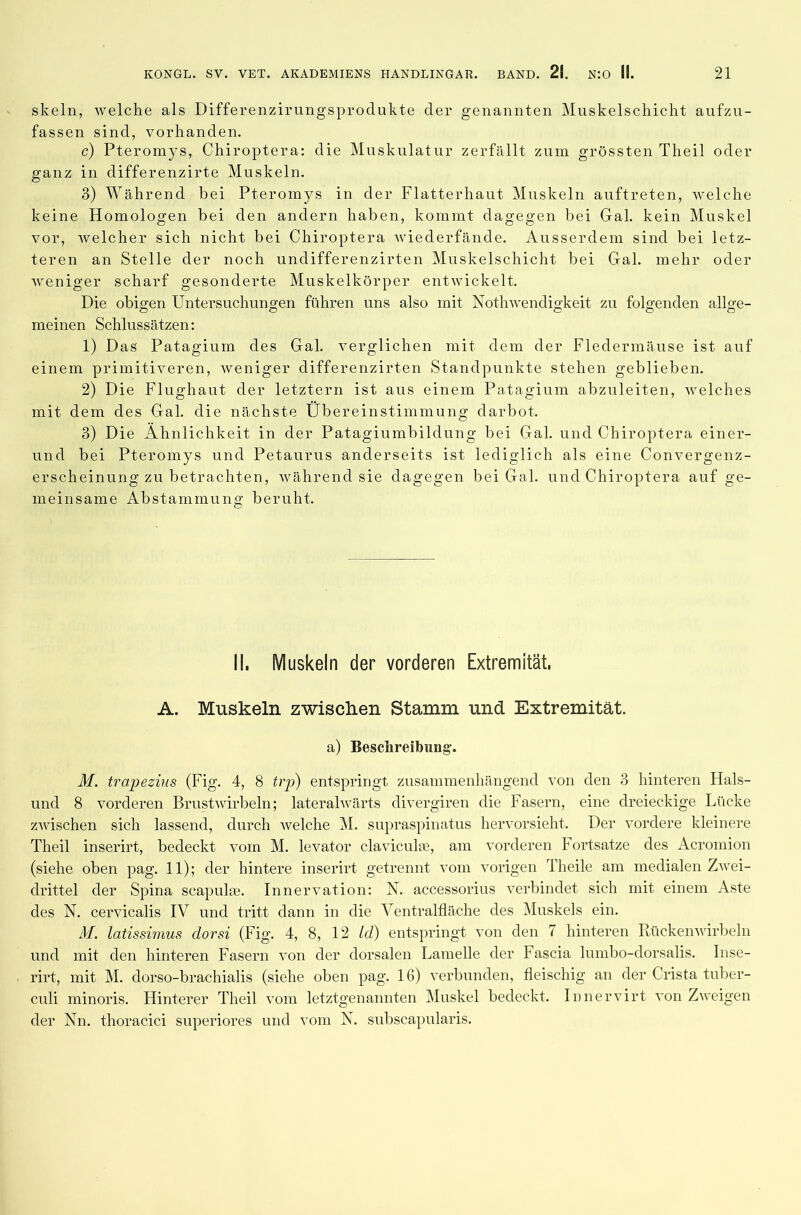 skeln, welche als Differenzirnngsprodukte der genannten Muskelschicht aufzu- fassen sind, vorhanden. c) Pteromys, Chiroptera: die Muskulatur zerfällt zum grössten Tlieil oder ganz in differenzirte Muskeln. 3) Während bei Pteromys in der Flatterhaut Muskeln auftreten, welche keine Homologen bei den andern haben, kommt dagegen bei Gal. kein Muskel vor, welcher sich nicht bei Chiroptera wiederfände. Ausserdem sind bei letz- teren an Stelle der noch undifferenzirten Muskelschicht bei Gal. mehr oder weniger scharf gesonderte Muskelkörper entwickelt. Die obigen Untersuchungen führen uns also mit Nothwendigkeit zu folgenden allge- o Ö o o O meinen Schlussätzen: 1) Das Patagium des Gal. verglichen mit dem der Fledermäuse ist auf einem primitiveren, weniger differenzirten Standpunkte stehen geblieben. 2) Die Flughaut der letztem ist aus einem Patagium abzuleiten, welches mit dem des Gal. die nächste Übereinstimmung darbot. 3) Die Ähnlichkeit in der Patagiumbildung bei Gal. und Chiroptera einer- und bei Pteromys und Petaurus anderseits ist lediglich als eine Convergenz- erscheinung zu betrachten, während sie dagegen bei Gal. und Chiroptera auf ge- meinsame Abstammung beruht. II. Muskeln der vorderen Extremität, A. Muskeln zwischen Stamm und Extremität. a) Beschreibung. M. trapezius (Fig. 4, 8 trp) entspringt zusammenhängend von den 3 hinteren Hais- und 8 vorderen Brustwirbeln; lateralwärts divergiren die Fasern, eine dreieckige Lücke zwischen sich lassend, durch welche M. supraspinatus hervorsieht. Der vordere kleinere Theil inserirt, bedeckt vom M. levator claviculse, am vorderen Fortsätze des Acromion (siehe oben pag. 11); der hintere inserirt getrennt vom vorigen Theile am medialen Zwei- drittel der Spina scapulae. Innervation: N. accessorius verbindet sich mit einem Aste des N. cervicalis IV und tritt dann in die Ventralfläche des Muskels ein. M. latissimus dorsi (Fig. 4, 8, 12 Id) entspringt von den 7 hinteren Rückenwirbeln und mit den hinteren Fasern von der dorsalen Lamelle der Fascia lumbo-dorsalis. Inse- rirt, mit M. dorso-brachialis (siehe oben pag. 16) verbunden, fleischig an der Crista tuber- culi minoris. Hinterer Theil vom letztgenannten Muskel bedeckt. Innervirt von Zweigen der Nn. thoracic! superiores und vom N. subscapularis.