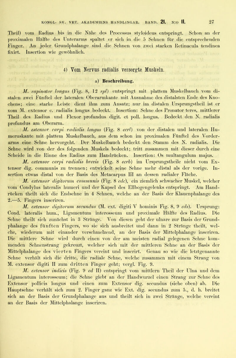 Theil) vom Radius bis in die Nähe des Processus styloideus entspringt. Schon an der proximalen Hälfte des Unterarms spaltet er sich in die 5 Sehnen für die entsprechenden Finger. An jeder Grundphalange sind die Sehnen von zwei starken Retinacula tendinea fixirt. Insertion wie gewöhnlich. 4) Vom Nervus radialis versorgte Muskeln. a) Beschreibung. M. supinator longus (Fig. 8, 12 spf) entspringt mit plattem Muskelbauch vom di- stalen zwei Fünftel der lateralen Oberarmkante mit Ausnahme des distalsten Ende des Kno- chens; eine starke Leiste dient ihm zum Ansatz; nur im distalen Ursprungstheil ist er vom M. extensor c. radialis longus bedeckt. Insertion: Sehne des Pronator teres, mittlerer Theil des Radius und Flexor profundus digit. et poll. longus. Bedeckt den N. radialis profundus am Oberarm. M. extensor carpi radialis longus (Fig. 8 ecrl) von der distalen und lateralen Hu- meruskante mit plattem Muskelbauch, aus dem schon im proximalen Fünftel des Vorder- arms eine Sehne hervorgeht. Der Muskelbauch bedeckt den Stamm des N. radialis. Die Sehne wird von der des folgenden Muskels bedeckt; tritt zusammen mit dieser durch eine Scheide in die Rinne des Radius zum Handrücken. Insertion: Os multangulum majus. M. extensor carpi radialis brevis (Fig. 8 ecrb) im Ursprungstheile nicht vom Ex- tensor dig. communis zu trennen; entwickelt seine Sehne mehr distal als der vorige. In- sertion etwas distal von der Basis des Metacarpus III an dessen radialer Fläche. M. extensor digitorum communis (Fig. 8 eclc), ein ziemlich schwacher Muskel, welcher vom Condylus lateralis humeri und der Kapsel des Ellbogengelenks entspringt. Am Hand- rücken theilt sich die Endsehne in 4 Sehnen, welche an der Basis der Klauenphalange des 2.—5. Fingers inseriren. M. extensor digitorum secundus (M. ext. cligiti V hominis Fig. 8, 9 eds). Ursprung: Cond, lateralis hum., Ligamentum interosseum und proximale Hälfte des Radius. Die Sehne theilt sich zunächst in 3 Stränge. Von diesen geht der ulnare zur Basis der Grund- phalange des fünften Fingers, wo sie sich ausbreitet und dann in 2 Stränge theilt, wel- che, wiederum mit einander verschmelzend, an der Basis der Mittelphalange inseriren. Die mittlere Sehne wird durch einen von der am meisten radial gelegenen Sehne kom- menden Sehnenstrang gekreuzt, welcher sich mit der mittleren Sehne an der Basis der Mittelphalange des vierten Fingers vereint und inserirt. Genau so wie die letztgenannte Sehne verhält sich die dritte, die radiale Sehne, welche zusammen mit einem Strang von M. extensor digiti II zum dritten Finger geht; vergl. Fig. 9. M. extensor indicis (Fig. 9 ed II) entspringt vom mittlern Theil der Ulna und dem Ligamentum interosseum; die Sehne giebt an der Handwurzel einen Strang zur Sehne des Extensor pollicis longus und einen zum Extensor dig. secundus (siehe oben) ab. Die Hauptsehne verhält sich zum 2. Finger ganz wie Ext. dig. secundus zum 5., d. h. breitet sich an der Basis der Grundphalange aus und theilt sich in zwei Stränge, welche vereint an der Basis der Mittelphalange inseriren.