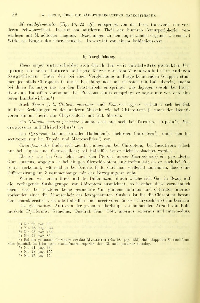 M. cauclo\femovalis (Fig. 13, 22 cdf) entspringt von der Proc. transversi der vor- deren Schwanzwirbel. Inserirt am mittleren Theil der hinteren Femurperipherie, ver- wachsen mit M. adductor magnns. Beziehungen zu den angrenzenden Organen wie sonst.1 *) Wirkt als Beuger des Oberschenkels. Innervirt von einem Ischiadicus-Ast. b) Vergleichung. Psoas major unterscheidet sich durch den weit caudalwärts gerückten Ur- sprung und seine dadurch bedingte Kürze von dem Verhalten bei allen anderen Säugethieren. Unter den bei einer Vergleichung in Frage kommenden Gruppen stim- men jedenfalls Chiroptera in dieser Beziehung noch am nächsten mit Gal. überein, indem bei ihnen Ps. major nie von den Brustwirbeln entspringt, was dagegen sowohl bei Insec- tivora als Halbaffen vorkommt; bei Pteropus edulis entspringt er sogar nur von den hin- teren Lumbalwirbeln.) Auch Tensor f. /., Glutceus maximus und Femorococcygeus verhalten sich bei Gal. in ihren Beziehungen zu den anderen Muskeln wie bei Chiroptera3); unter den Insecti- voren stimmt hierin nur Chrysochloris mit Gal. überein. Ein Glutceus rnedius posterior kommt sonst nur noch bei Tarsius, Tupaia4), Ma- croglossus und Rhinolophus5 * 7) vor. Ein Pyrifonnis kommt bei allen Halbaffen0), mehreren Chiroptera'), unter den In- sectivoren nur bei Tupaia und Macroscelides8) vor. Caudofemoralis findet sich ziemlich allgemein bei Chiroptera, bei Insectivora jedoch nur bei Tupaia und Macrosclelides; bei Halbaffen ist er nicht beobachtet worden. Ebenso wie bei Gal. fehlt auch den Pteropi (ausser Macroglossus) ein gesonderter Glut, quartus, wogegen er bei einigen Microchiroptera angetroffen ist; da er auch bei Pte- romys vorkommt, während er bei Sciurus fehlt, darf man vielleicht annehmen, dass seine Differenzirung im Zusammenhänge mit der Bewegungsart steht. Werfen wir einen Blick auf die Differenzen, durch welche sich Gal. in Bezug auf die vorliegende Muskelgruppe von Chiroptera auszeichnet, so bestehen diese vornehmlich darin, dass bei letzteren keine gesonderte Mm. glutaeus minimus und obturator internus vorhanden sind; die Abwesenheit des letztgenannten Muskels ist für die Chiroptera beson- ders charakteristisch, da alle Halbaffen und Insectivoren (ausser Chrysochloris) ihn besitzen. Das gleichzeitige Auftreten der grössten überhaupt vorkommenden Anzahl von Roll- muskeln (Pyrifonnis, Gemellus, Quadrat, fern., Obtt. internus, externus und intermedius, ‘) N:o 27, pag. 90. N:o 28, pag. 144. 3) N:o 28, pag. 154. 4) N:o 27, pag. 85. °) Bei den genannten Chiroptera envälint Macalister (N:o 28, pag. 155) einen doppelten M. candofemo- ralis; jedenfalls ist jedoch sein »caudofeinoral superior» dein Gl. med. posterior homolog. °) N:o 34, ]iag. 63. 7) N:o 28, pag. 155.