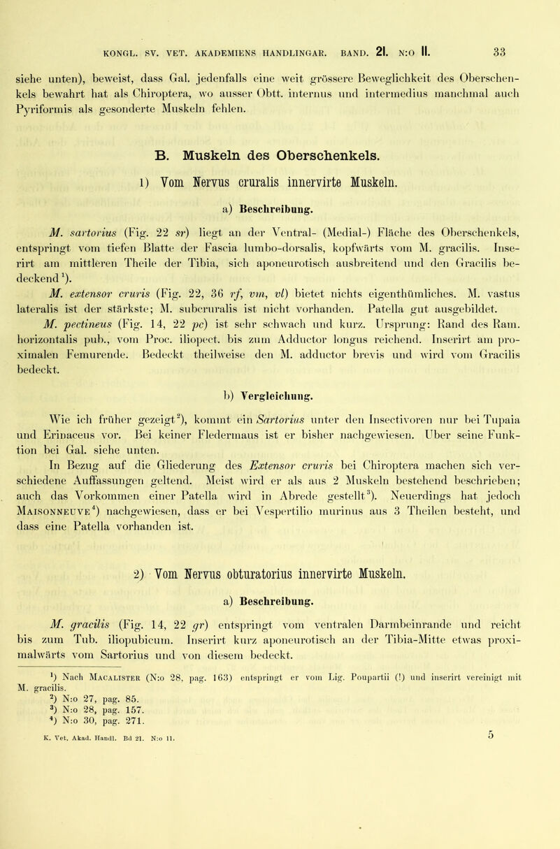 siehe unten), beweist, dass Gal. jedenfalls eine weit grössere Beweglichkeit des Oberschen- kels bewahrt hat als Chiroptera, wo ausser Obtt. internus und intermedius manchmal auch Pyriformis als gesonderte Muskeln fehlen. B. Muskeln des Oberschenkels. l) Vom Nervus cruralis inuervirte Muskeln. a) Beschreibung. M. sartorius (Fig. 22 sr) liegt an der Ventral- (Medial-) Fläche des Oberschenkels, entspringt vom tiefen Blatte der Fascia lumbo-dorsalis, kopfwärts vom M. gracilis. Inse- rirt am mittleren Theile der Tibia, sich aponeurotisch ausbreitend und den Gracilis be- deckend *). M. extensor cruris (Fig. 22, 36 rf, vm, vl) bietet nichts eigentümliches. M. vastus lateralis ist der stärkste; M. subcruralis ist nicht vorhanden. Patella gut ausgebildet. M. pectineus (Fig. 14, 22 pc) ist sehr schwach und kurz. Ursprung: Rand des Ram. horizontalis pub., vom Proc. iliopect. bis zum Adductor longus reichend. Inserirt am pro- ximalen Femurende. Bedeckt theilweise den M. adductor brevis und wird vom Gracilis bedeckt. b) Vergleichung. Wie ich früher gezeigt* 2), kommt ein Sartorius unter den Insectivoren nur bei Tupaia und Erinaceus vor. Bei keiner Fledermaus ist er bisher nachgewiesen. Uber seine Funk- tion bei Gal. siehe unten. In Bezug auf die Gliederung des Extensor cruris bei Chiroptera machen sich ver- schiedene Auffassungen geltend. Meist wird er als aus 2 Muskeln bestehend beschrieben; auch das Vorkommen einer Patella wird in Abrede gestellt3). Neuerdings hat jedoch Maisonneuve4) nachgewiesen, dass er bei Vespertilio murinus aus 3 Theilen besteht, und dass eine Patella vorhanden ist. I 2) Vom Nervus obturatorius innervirte Muskeln. a) Beschreibung. M. gracilis (Fig. 14, 22 gr) entspringt vom ventralen Darmbeinrande und reicht bis zum Tub. iliopubicum. Inserirt kurz aponeurotisch an der Tibia-Mitte etwas proxi- malwärts vom Sartorius und von diesem bedeckt. b Nach Macalister (N:o 28, pag. 103) entspringt er vom Lig. Poupartii (!) und inserirt vereinigt mit M. gracilis. 2) N.-o 27, pag. 85. 3) N:o 28, pag. 157. 4) N:o 30, pag. 271. 5 K. Vet. Akad. Handl. Bd 21. N:o 11*