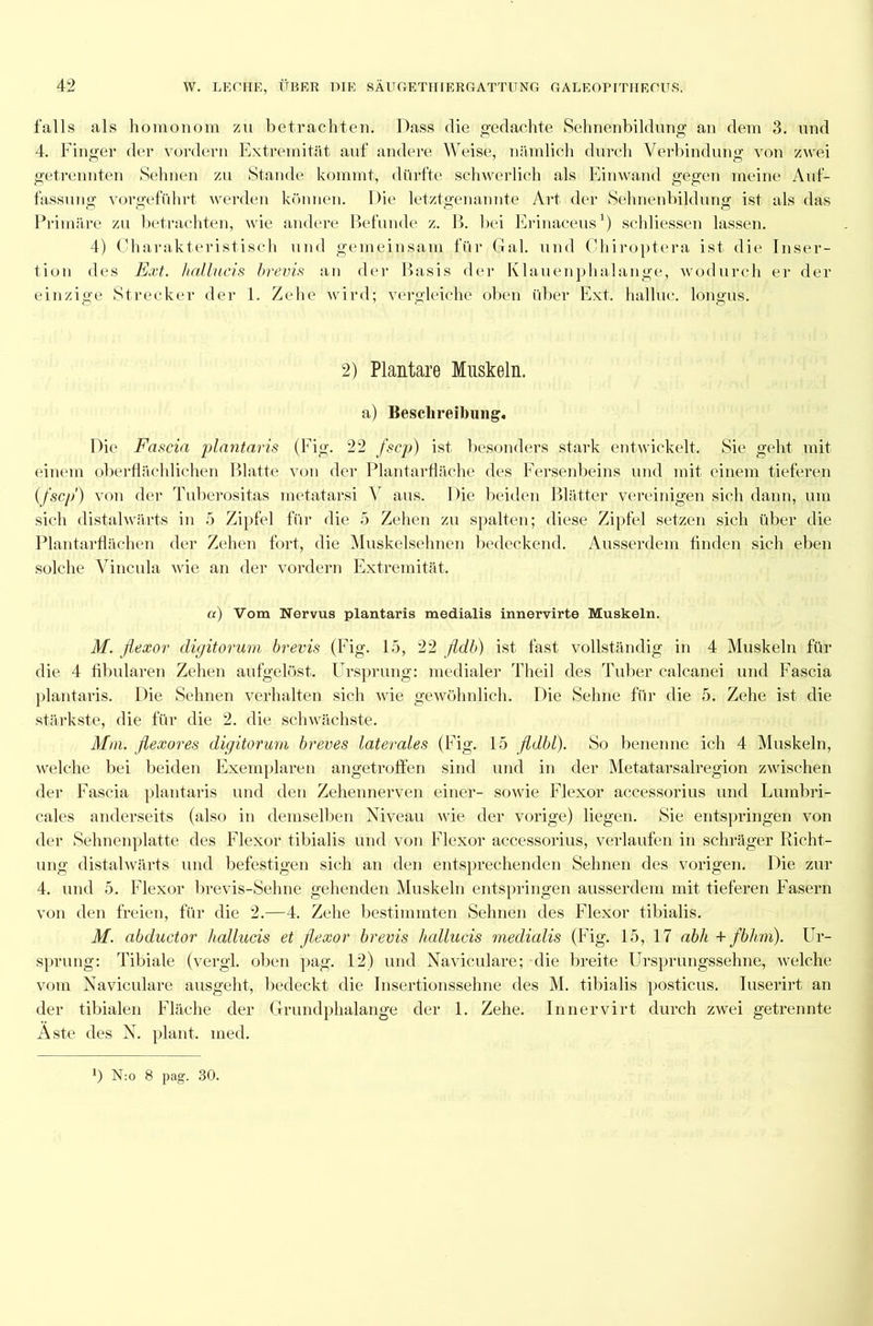 falls als homonom zu betrachten. Dass die gedachte Sehnenbildung an dem 3. und 4. Finger der vordem Extremität auf andere Weise, nämlich durch Verbindung von zwei getrennten Sehnen zu Stande kommt, dürfte schwerlich als Einwand gegen meine Auf- fassung vorgeführt werden können. Die letztgenannte Art der Sehnenbildung ist als das Primäre zu betrachten, wie andere Befunde z. B. bei Erinaceus1) schliessen lassen. 4) Charakteristisch und gemeinsam für Gal. und Chiroptera ist die Inser- tion des Ext. hallucis brevis an der Basis der Klauenphalange, wodurch er der einzige Strecker der 1. Zehe wird; vergleiche oben über Ext. hallue. longus. 2) Plantare Muskeln. a) Beschreibung. Die Fascia plantaris (Fig. 22 fscp) ist besonders stark entwickelt. Sie geht mit einem oberflächlichen Blatte von der Plantarfläche des Fersenbeins und mit einem tieferen (fscp') von der Tuberositas rnetatarsi V aus. Die beiden Blätter vereinigen sich dann, um sich distalwärts in 5 Zipfel für die 5 Zehen zu spalten; diese Zipfel setzen sich über die Plantarflächen der Zehen fort, die Muskelsehnen bedeckend. Ausserdem finden sich eben solche Vincula wie an der vordem Extremität. a) Vom Nervus plantaris medialis innervirte Muskeln. M. flexor cligitorum brevis (Fig. 15, 22 fldb) ist fast vollständig in 4 Muskeln für die 4 fibularen Zehen aufgelöst. Ursprung: medialer Theil des Tuber calcanei und Fascia plantaris. Die Sehnen verhalten sich wie gewöhnlich. Die Sehne für die 5. Zehe ist die stärkste, die für die 2. die schwächste. Mm. ßexores digitorum breves laterales (Fig. 15 fldbl). So benenne ich 4 Muskeln, welche bei beiden Exemplaren angetroffen sind und in der Metatarsalregion zwischen der Fascia plantaris und den Zehennerven einer- sowie Flexor accessorius und Lumbri- cales anderseits (also in demselben Niveau wie der vorige) liegen. Sie entspringen von der Sehnenplatte des Flexor tibialis und von Flexor accessorius, verlaufen in schräger Richt- ung distalwärts und befestigen sich an den entsprechenden Sehnen des vorigen. Die zur 4. und 5. Flexor brevis-Sehne gehenden Muskeln entspringen ausserdem mit tieferen Fasern von den freien, für die 2.—4. Zehe bestimmten Sehnen des Flexor tibialis. M. abductor hallucis et flexor brevis hallucis medialis (Fig. 15, 17 abh + fbhm). Ur- sprung: Tibiale (vergl. oben pag. 12) und Naviculare; die breite Ursprungssehne, welche vom Naviculare ausgeht, bedeckt die Insertionssehne des M. tibialis posticus. Iuserirt an der tibialen Fläche der Grundphalange der 1. Zehe. Innervirt durch zwei getrennte Äste des N. plant, med.