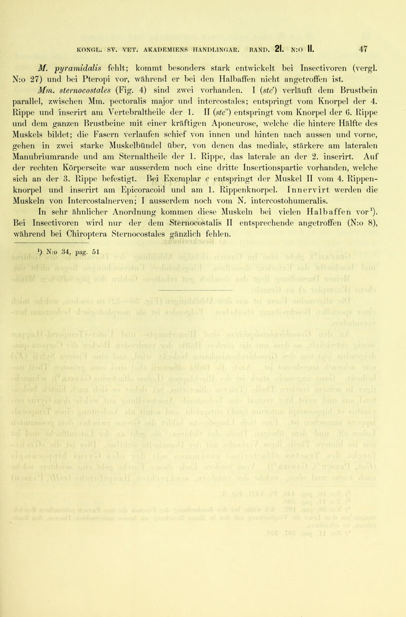 M. 'pyramidalis fehlt; kommt besonders stark entwickelt bei Insectivoren (vergl. N:o 27) und bei Pteropi vor, während er bei den Halbaffen nicht angetroffen ist. Mm. sternocostales (Fig. 4) sind zwei vorhanden. I (std) verläuft dem Brustbein parallel, zwischen Mm. pectoralis major und intercostales; entspringt vom Knorpel der 4. Rippe und 'inserirt am Vertebraltheile der 1. II (stc) entspringt vom Knorpel der 6. Rippe und dem ganzen Brustbeine mit einer kräftigen Aponeurose, welche die hintere Hälfte des Muskels bildet; die Fasern verlaufen schief von innen und hinten nach aussen und vorne, gehen in zwei starke Muskelbündel über, von denen das mediale, stärkere am lateralen Manubriumrande und am Sternaltheile der 1. Rippe, das laterale an der 2. inserirt. Auf der rechten Körperseite war ausserdem noch eine dritte Insertionspartie vorhanden, welche sich an der 3. Rippe befestigt. Bei Exemplar c entspringt der Muskel II vom 4. Rippen- knorpel und inserirt am Epicoracoid und am 1. Rippenknorpel. Innervirt werden die Muskeln von Intercostalnerven; I ausserdem noch vom N. intercostohumeralis. In sehr ähnlicher Anordnung kommen diese Muskeln bei vielen Halbaffen vor1). Bei Insectivoren wird nur der dem Sternocostalis II entsprechende angetroffen (N:o 8), während bei Chiroptera Sternocostales gänzlich fehlen.