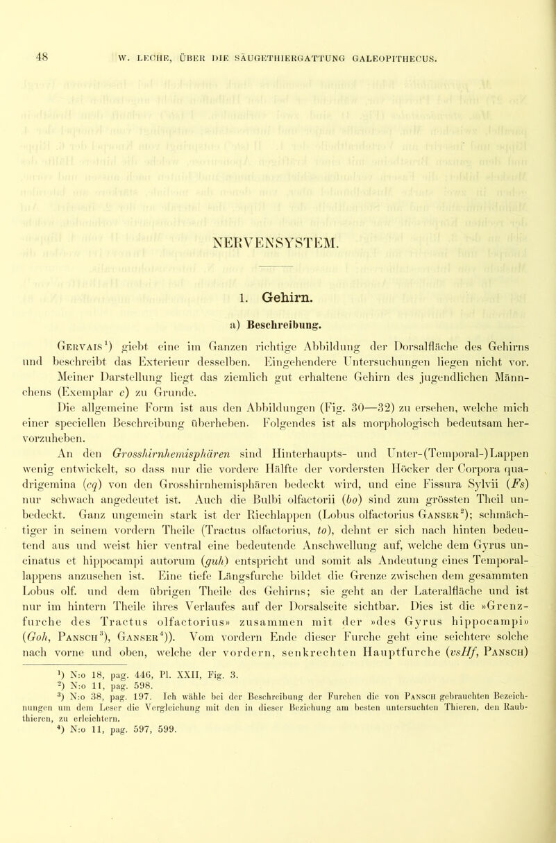 NERVENSYSTEM. 1. Gehirn, a) Beschreibung. Gervais1) giebt eine im Ganzen richtige Abbildung der Dorsalfläche des Gehirns und beschreibt das Exterieur desselben. Eingehendere Untersuchungen liegen nicht vor. Meiner Darstellung liegt das ziemlich gut erhaltene Gehirn des jugendlichen Männ- chens (Exemplar c) zu Grunde. Die allgemeine Form ist aus den Abbildungen (Fig. 30—32) zu ersehen, welche mich einer speciellen Beschreibung überheben. Folgendes ist als morphologisch bedeutsam her- vorzuheben. An den Grosshirnhemisphären sind Hinterhaupts- und hinter-(Temporal-) Lappen wenig entwickelt, so dass nur die vordere Hälfte der vordersten Höcker der Corpora qua- drigemina (cq) von den Grosshirnhemisphären bedeckt wird, und eine Fissura Sylvii (Fs) nur schwach angedeutet ist. Auch die Bulbi olfactorii (bo) sind zum grössten Theil un- bedeckt. Ganz ungemein stark ist der Riechlappen (Lobus olfactorius Ganser2); schmäch- tiger in seinem vordem Theile (Tractus olfactorius, to), dehnt er sich nach hinten bedeu- tend aus und weist hier ventral eine bedeutende Anschwellung auf, welche dem Gyrus un- cinatus et hippocampi autorum (guh) entspricht und somit als Andeutung eines Temporal- lappens anzusehen ist. Eine tiefe Längsfurche bildet die Grenze zwischen dem gesammten Lobus olf. und dem übrigen Theile des Gehirns; sie geht an der Lateralfläche und ist nur im hintern Theile ihres Verlaufes auf der Dorsalseite sichtbar. Dies ist die »Grenz- furche des Tractus olfactorius» zusammen mit der »des Gyrus hippocampi» (Goh, Pansch3), Ganser4)). Vom vordem Ende dieser Furche geht eine seichtere solche nach vorne und oben, welche der vordem, senkrechten Hauptfurche (vsHf, Pansch) ') N:o 18, pag. 446, PL XXII, Fig. 3. 2) N:o 11, pag. 598. 31 N:o 38, pag. 197. Ich wähle bei der Beschreibung der Furchen die von Pansch gebrauchten Bezeich- nungen um dem Leser die Vergleichung mit den in dieser Beziehung am besten untersuchten Thieren, den Raub- thieren, zu erleichtern. 4) N:o 11, pag. 597, 599.