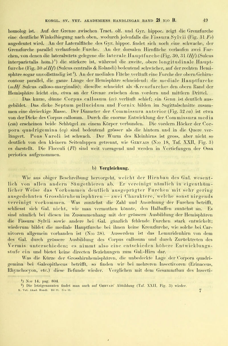 homolog ist. Auf der Grenze zwischen Tract. olf. und Gyr. hippoc. zeigt die Grenzfurche eine deutliche Winkelbiegung nach oben, wodurch jedenfalls die Fissura Sylvii (Fig. 31 Fa) angedeutet wird. An der Lateralfläche des Gyr. hippoc. findet sich noch eine schwache, der Grenzfurche parallel verlaufende Furche. An der dorsalen Hirnfläche verlaufen zwei Fur- chen, von denen die lateralwärts gelegene die laferale Hauptfurche (Fig. 30, 31 IHf) (Sulcus interparietalis hom.)1) die stärkere ist, während die zweite, obere longitudinale Haupt- furche (Fig. 30 olHf) (Sulcus centralis & liolandi) bedeutend schwächer, auf der rechten Hemi- sphäre sogar unvollständig ist 2). An der medialen Fläche verläuft eine Furche der obern Gehirn- contour parallel, die ganze Länge der Hemisphäre schneidend: die mediale Hauptfurche (mHf Sulcus calloso-marginalis); dieselbe schneidet als »Kreuzfurche» den obern Rand der Hemisphäre leicht ein, etwa an der Grenze zwischen dem vordem und mittlern Drittel. Das kurze, dünne Corpus callosum (cc) verläuft schief; ein Genu ist deutlich aus- gebildet. Das dicke Septum pellucidum und Fornix bilden im Sagittalschnitte zusam- men eine dreieckige Masse. Der Diameter der Cornmissura anterior (Fig. 32 ca) ist etwa von der Dicke des Corpus callosum. Durch die enorme Entwicklung der Cornmissura media (cm) erscheinen beide Sehhügel zu einem Körper verbunden. Die vordem Höcker der Cor- pora quadrigemina (cg) sind bedeutend grösser als die hintern und in die Quere ver- längert. Pons Varoli ist schwach. Der Wurm des Kleinhirns ist gross, aber nicht so deutlich von den kleinern Seitenlappen getrennt, wie Gervais (N:o 18, Taf. XXII, Fig. 3) es darstellt. Die Flocculi (Fl) sind weit vorragend und werden in Vertiefungen der Ossa periotica aufgenommen. b) Vergleichung. Wie aus obiger Beschreibung hervorgeht, weicht der Hirnbau des Gal. wesent- lich von allen andern Säugethieren ab. Er vereinigt nämlich in eigenthüm- licher Weise das Vorkommen deutlich ausgeprägter Furchen mit sehr gering ausgedehnten Grosshirnhemisphären-—zwei Charaktere, welche sonst nirgends vereinigt Vorkommen. Was zunächst die Zahl und Anordnung der Furchen betrifft, schliesst sich Gal. nicht, wie man vermuthen könnte, den Halbaffen zunächst an. Es sind nämlich bei diesen im Zusammenhang mit der grossem Ausbildung der Hemisphären die Fissura Sylvii sowie andere bei Gal. gänzlich fehlende Furchen stark entwickelt; wiederum bildet die mediale Hauptfurche bei ihnen keine Kreuzfurche, tvie solche bei Car- nivoren allgemein vorhanden ist (N:o 38). Ausserdem ist das Lemuridenhirn von dem des Gal. durch grössere Ausbildung des Corpus callosum und durch Zurücktreten des Vermis unterschieden; es nimmt also eine entschieden höhere EntAvicklungs- stufe ein und bietet keine directen Beziehungen zum Gal.-Hirn dar. Was die Kürze der Grosshirnhemisphären, die unbedeckte Lage der Corpora quadri- gemina bei Galeopithecus betrifft, so finden wir bei mehreren Insectivoren (Erinaceus, Rhynehocyon, etc.) diese Befunde wieder. Verglichen mit dem Gesammtbau des Insecti- x) N:o 14, pag. 804. 2) Die letztgenannten findet man auch auf Gervais’ Abbildung (Taf. XXII, Fig. 3) wieder. K. Yet. Akad. HandL Bd 21. N:o 11. 7