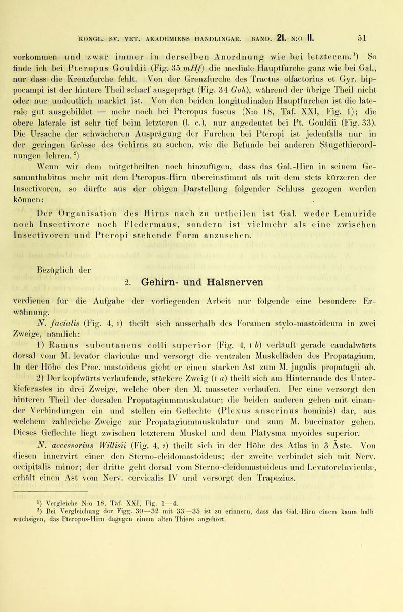 Vorkommen und zwar immer in derselben Anordnung wie bei letzterem.1) So finde ich bei Pteropus Gouldii (Fig. 35 mHf) die mediale Hauptfurche ganz wie bei Gal., nur dass die Kreuzfurche fehlt. Von der Grenzfurche des Tractus olfactorius et Gyr. hip- pocampi ist der hintere Theil scharf ausgeprägt (Fig. 34 Go/i), während der übrige Theil nicht oder nur undeutlich markirt ist. Von den beiden longitudinalen Hauptfurchen ist die late- rale gut ausgebildet — mehr noch bei Pteropus fuscus (N:o 18, Taf. XXI, Fig. 1); die obere laterale ist sehr tief beim letzteren (1. c.), nur angedeutet bei Pt. Gouldii (Fig. 33). Die Ursache der schwächeren Ausprägung der Furchen bei Pteropi ist jedenfalls nur in der geringen Grösse des Gehirns zu suchen, wie die Befunde bei anderen Säugethierord- nungen lehren.2) Wenn wir dem mitgetheilten noch hinzufügen, dass das Gal.-Hirn in seinem Ge- sammthabitus mehr mit dem Pteropus-Hirn übereinstimmt als mit dem stets kürzeren der lnsectivoren, so dürfte aus der obigen Darstellung folgender Schluss gezogen werden können: Der Organisation des Hirns nach zu urtheilen ist Gal. weder Leinuride noch Insectivore noch Fledermaus, sondern ist vielmehr als eine zwischen lnsectivoren und Pteropi stehende Form anzusehen. Bezüglich der 2. Gehirn- und Halsnerven verdienen für die Aufgabe der vorliegenden Arbeit nur folgende eine besondere Er- wähnung. N. facialis (Fig. 4, i) theilt sich ausserhalb des Foramen stylo-mastoideum in zwei Zweige, nämlich: 1) Ramus subcutaneus colli superior (Fig. 4, l b) verläuft gerade caudalwärts dorsal vom M. levator claviculte und versorgt die ventralen Muskelfäden des Propatagium, In der Höhe des Proc. inastoideus giebt er einen starken Ast zum M. jugalis propatagii ab. 2) Der kopfwärts verlaufende, stärkere Zweig (l a) theilt sich am Hinterrande des Unter- kieferastes in drei Zweige, welche über den M. masseter verlaufen. Der eine versorgt den hinteren Theil der dorsalen Propatagiummuskulatur; die beiden anderen gehen mit einan- der Verbindungen ein und stellen ein Geflechte (Plexus anserinus hominis) dar, aus welchem zahlreiche Zweige zur Propatagiummuskulatur und zum M. buccinator gehen. Dieses Geflechte liegt zwischen letzterem Muskel und dem Platysma myoides superior. N. accessorius Willisii (Fig. 4, i) theilt sich in der Höhe des Atlas in 3 Aste. Von diesen innervirt einer den Sterno-cleidomastoideus; der zweite verbindet sich mit Nerv, occipitalis minor; der dritte geht dorsal vom Sterno-cleidomastoideus und Levatorclaviculae, erhält einen Ast vom Nerv, cervicalis IV und versorgt den Trapezius. *) Vergleiche N:o 18, Taf. XXI, Fig. 1—4. 2) Bei Vergleichung der Figg. 30—32 mit 33—35 ist zu erinnern, dass das Gal.-Hirn einem kaum halb- wüchsigen, das Pteropus-Hirn dagegen einem alten Thiere angehört.