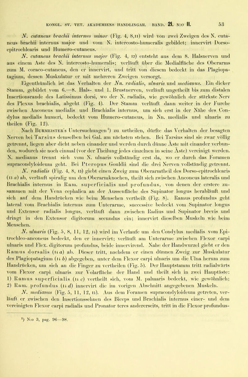 N. cutaneus brachii internus minor (Fig. 4, 8,u) wird von zwei Zweigen des N. cuta- neus brachii internus major und vom N. intercosto-humeralis gebildet; innervirt Dorso- epitrochlearis und Humero-cutaneus. N. cutaneus brachii internus major (Fig. 4, 12) entsteht aus dem 8. Halsnerven und aus einem Aste des N. intercosto-humeralis; verläuft über die Medialfläche des Oberarms zum M. coraco-cutaneus, den er innervirt, und tritt von diesem bedeckt in das Plagiopa- tagium, dessen Muskulatur er mit mehreren Zweigen versorgt. Eigentümlich ist das Verhalten der Nn. radialis, ulnaris und medianus. Ein dicker Stamm, gebildet vom 6.—8. Hals- und 1. Brustnerven, verläuft ungetheilt bis zum distalen Insertionsrande des Latissimus dorsi, wo der N. radialis, wie gewöhnlich der stärkste Nerv des Plexus brachialis, abgeht (Fig. 4). Der Stamm verläuft dann weiter in der Furche zwischen Anconeus medialis und Brachialis internus, um sich erst in der Nähe des Con- dylus medialis humeri, bedeckt vom Humero-cutaneus, in Nn. medialis und ulnaris zu theilen (Fig. 12). Nach Burmeister’s Untersuchungen1) zu urteilen, dürfte das Verhalten der besagten Nerven bei Tarsius demselben bei Gal. am nächsten stehen. Bei Tarsius sind sie zwar völlig getrennt, liegen aber dicht neben einander und werden durch dünne Aste mit einander verbun- den, wodurch sie noch einmal (vor der Theilung jedes einzelnen in seine Äste) vereinigt werden. N. medianus trennt sich vom N. ulnaris vollständig erst da, wo er durch das Foramen supracondyloideum geht. Bei Pteropus Gouldii sind die drei Nerven vollständig getrennt. N. radialis (Fig. 4, 8, 13) giebt einen Zweig zum Oberarnitheil des Dorso-epitrochlearis (13 a) ab, verläuft spiralig um den Oberarmknochen, teilt sich zwischen Anconeus lateralis und Brachialis internus in Rani, superficialis und profundus, von denen der erstere zu- sammen mit der Vena cephalica an der Aussenfiäche des Supinator longus herabläuft und sich auf dem Handrücken wie beim Menschen verteilt (Fig. 8). Ramus profundus geht lateral vom Brachialis internus zum Unterarme, successive bedeckt vom Supinator longus und Extensor radialis longus, verläuft dann zwischen Radius und Supinator brevis und dringt in den Extensor digitorum secundus ein; innervirt dieselben Muskeln wie beim Menschen. N. ulnaris (Fig. 5, 8, 11, 12, h) wird im Verlaufe um den Condylus medialis vom Epi- troehleo-anconeus bedeckt, den er innervirt; verläuft am Unterarme zwischen Flexor carpi ulnaris und Flex. digitorum profundus, beide innervirend. Nahe der Handwurzel giebt er den Ramus dorsalis (na) ab. Dieser tritt, nachdem er einen dünnen Zweig zur Muskulatur des Plagiopatagiuin (14 b) abgegeben, unter dem Flexor carpi ulnaris um die Ulna herum zum Handrücken, um sich an die Finger zu vertheilen (Fig. 5). Der Hauptstamm tritt radialwärts vom Flexor carpi ulnaris zur Volarfläche der Hand und theilt sich in zwei Hauptäste: 1) Ramus superficialis (n cj vertheilt sich, vom M. palmaris bedeckt, wie gewöhnlich; 2) R am. profundus (ud) innervirt die im vorigen Abschnitt angegebenen Muskeln. N. medianus (Fig. 5, 11, 12, 15). Aus dem Foramen supracondyloideum getreten, ver- läuft er zwischen den Insertionssehnen des Biceps und Brachialis internus einer- und dem vereinigten Flexor carpi radialis und Pronator teres andererseits, tritt in die Flexor profundus- b N:o 3, pag. 96—98.