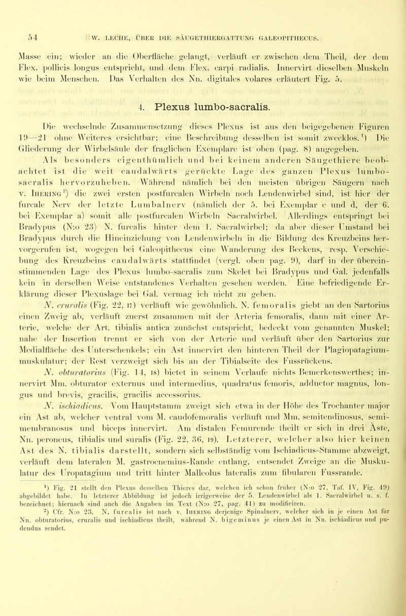 Masse ein; wieder an die Oberfläche gelangt, verläuft er zwischen dem Theil, der dem Flex. pollicis longus entspricht, und dem Flex. carpi radialis. In nervi rt dieselben Muskeln wie beim Menschen. Das Verhalten des Nn. digitales volares erläutert Fig. 5. 4. Plexus lumbo-sacralis. Die wechselnde Zusammensetzung dieses Plexus ist aus den beigegebenen Figuren 19—21 ohne Weiteres ersichtbar; eine Beschreibung desselben ist somit zwecklos.1) Die Gliederung der Wirbelsäule der fraglichen Exemplare ist oben (pag. 8) angegeben. Als besonders eigenthümlich und bei keinem anderen Säugethiere beob- achtet ist die weit caudalwärts gerückte Lage des ganzen Plexus lumbo- sacralis hervorzuheben. Während nämlich bei den meisten übrigen Säugern nach v. Ihering) die zwei ersten postfurcalen Wirbeln noch Lendenwirbel sind, ist hier der furcale Nerv der letzte Lumbal nerv (nämlich der 5. bei Exemplar c und d, der 6. bei Exemplar a) somit alle postfurcalen Wirbeln Sacralwirbel. Allerdings entspringt bei Bradypus (N:o 23) N. furcalis hinter dem 1. Sacralwirbel; da aber dieser Umstand bei Bradypus durch die Hineinziehung von Lendenwirbeln in die Bildung des Kreuzbeins her- vorgerufen ist, wogegen bei Galeopithecus eine W anderung des Beckens, resp. Verschie- bung des Kreuzbeins caudalwärts stattfindet (vergl. oben pag. 9), darf in der überein- stimmenden Lage des Plexus lumbo-sacralis zum Skelet bei Bradypus und Gal. jedenfalls kein in derselben W eise entstandenes Verhalten gesehen werden. Eine befriedigende Er- klärung dieser Plexuslage bei Gal. vermag ich nicht zu geben. N. cruralis (Fig. 22, 17) verläuft wie gewöhnlich. N. femoralis giebt an den Sartorius einen Zweig ab, verläuft zuerst zusammen mit der Arteria femoralis, dann mit einer Ar- terie, welche der Art. tibialis antica zunächst entspricht, bedeckt vom genannten Muskel; nahe der Insertion trennt er sich von der Arterie und verläuft über den Sartorius zur Medialfläche des Unterschenkels; ein Ast innervirt den hinteren Theil der Plagiopatagium- muskulatur; der Rest verzweigt sich bis an der Tibialseite des Fussrückens. N. obturatorius (Fig. 14, is) bietet in seinem Verlaufe nichts Bemerkenswerthes; in- nervirt Mm. obturator externus und intermedius, quadrafus femoris, adductor magnus, lon- gus und brevis, gracilis, gracilis accessorius. N. ischiadicus. Vom Hauptstamm zweigt sich etwa in der Höhe des Trochanter major ein Ast ab, welcher ventral vom M. caudofemoralis verläuft und Mm. semitendinosus, semi- membranosus und biceps innervirt. Am distalen Femurende theili er sich in drei Aste, N11. peroneus, tibialis und suralis (Fig. 22, 36, 19). Letzterer, welcher also hier keinen Ast des N. tibialis darstellt, sondern sich selbständig vom Ischiadicus-Stamme abzweigt-, verläuft dem lateralen M. gastroenemius-Rande entlang, entsendet Zweige an die Musku- latur des Uropatagium und tritt hinter Malleolus lateralis zum fibularen Fussrande. ') Fig. 21 stellt den Plexus desselben Thieres dar, welchen ich schon früher (N:o 27, Taf. IV, Fig. 49) abgebildet habe. In letzterer Abbildung ist jedoch irrigerweise der 5. Lendenwirbel als 1. Sacralwirbel u. s. f. bezeichnet; hiernach sind auch die Angaben im Text (N:o 27, pag. 41) zu modificiren. -) Cfr. N:o 23. N. furcalis ist nach v. Ihering derjenige Spinalnerv, welcher sich in je einen Ast für Nn. obturatorius, cruralis und ischiadicus tlieilt, während N. bigeminus je einen Ast in Nn. ischiadicus und pu- dendus sendet.