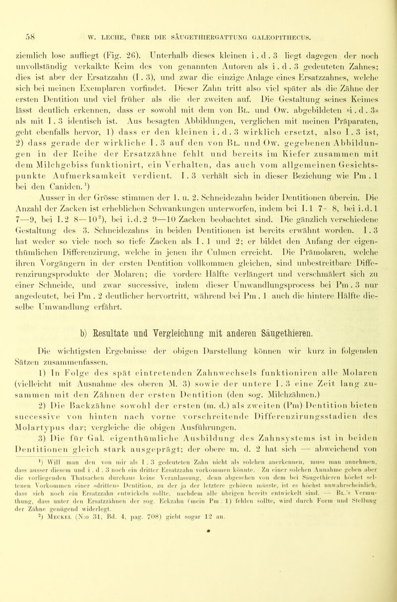 ziemlich lose aufliegt (Fig. 26). Unterhalb dieses kleinen i. d . 3 liegt dagegen der noch unvollständig verkalkte Keim des von genannten Autoren als i. d . 3 gedeuteten Zahnes; dies ist aber der Ersatzzahn (1. 3), und zwar die einzige Anlage eines Ersatzzahnes, welche sich bei meinen Exemplaren vorfindet. Dieser Zahn tritt also viel später als die Zähne der ersten Dentition und viel früher als die der zweiten auf. Die Gestaltung seines Keimes lässt deutlich erkennen, dass er sowohl mit dem von Bl. und Ow. abgebildeten »i. d . 3» als mit 1.3 identisch ist. Aus besagten Abbildungen, verglichen mit meinen Präparaten, geht ebenfalls hervor, 1) dass er den kleinen i. d . 3 wirklich ersetzt, also I . 3 ist, 2) dass gerade der wirkliche I . 3 auf den von Bl. und Ow. gegebenen Abbildun- gen in der Reihe der Ersatzzähne fehlt und bereits im Kiefer zusammen mit dem Milchgebiss funktionirt, ein Verhalten, das auch vom allgemeinen Gesichts- punkte Aufmerksamkeit verdient. 1.3 verhält sich in dieser Beziehung wie Pm . 1 bei den Caniden. () Ausser in der Grösse stimmen der 1. u. 2. Schneidezahn beider Dentitionen überein. Die Anzahl der Zacken ist erheblichen Schwankungen unterworfen, indem bei El 7- 8, bei i.d.l 7—9, bei 1.2 8—102), bei i.d.2 9—10 Zacken beobachtet sind. Die gänzlich verschiedene Gestaltung des 3. Schneidezahns in beiden Dentitionen ist bereits erwähnt worden. I . 3 hat weder so viele noch so tiefe Zacken als I. 1 und 2; er bildet den Anfang der eigen- thümlichen Differcnzirung, welche in jenen ihr Culmen erreicht. Die Prämolaren, welche ihren Vorgängern in der ersten Dentition vollkommen gleichen, sind unbestreitbare Diffe- renzirungsprodukte der Molaren; die vordere Hälfte verlängert und verschmälert sich zu einer Schneide, und zwar successive, indem dieser Umwandlungsprocess bei Pm. 3 nur angedeutet, bei Pm . 2 deutlicher hervortritt, während bei Pm . 1 auch die hintere Hälfte die- selbe Umwandlung erfährt. b) Resultate und Vergleichung mit anderen Säugethieren. Die wichtigsten Ergebnisse der obigen Darstellung können wir kurz in folgenden Sätzen zusammenfassen. 1) ln Folge des spät eintretenden Zahnwechsels funktioniren alle Molaren (vielleicht mit Ausnahme des oberen M. 3) sowie der untere 1.3 eine Zeit lang zu- sammen mit den Zähnen der ersten Dentition (den sog. Milchzähnen.) 2) Die Backzähne sowohl der ersten (m. d.) als zweiten (Pm) Dentition bieten successive von hinten nach vorne vorschreitende Differenzirungsstadien des Molartypus dar; vergleiche die obigen Ausführungen. 3) Die für Gal. eigenthümliche Ausbildung des Zahnsystems ist in beiden Dentitionen gleich stark ausgeprägt; der obere m. d. 2 hat sich — abweichend von ') Will man clen von mir als 1.3 gedeuteten Zahn nicht als solchen anerkennen, muss man annehmen, dass ausser diesem und i . d . 3 noch ein dritter Ersatzzahn Vorkommen könnte. Zu einer solchen Annahme geben aber die vorliegenden Thatsachen durchaus keine Veranlassung, denn abgesehen von dem bei Säugethieren höchst sel- tenen Vorkommen einer »dritten» Dentition, zu der ja der letztere gehören müsste, ist es höchst unwahrscheinlich, dass sich noch ein Ersatzzahn entwickeln sollte, nachdem alle übrigen bereits entwickelt sind. — Br,.’s Vermu- thung, dass unter den Ersatzzähnen der sog. Eckzahn (mein Pm . 1) fehlen sollte, wird durch Form und Stellung der Zähne genügend widerlegt. -) Meckel (N:o 31, Bd. 4, pag. 708) giebt sogar 12 an.