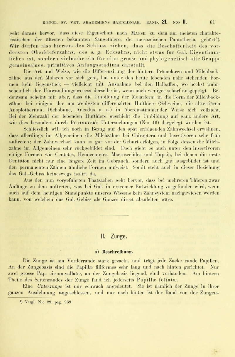 geht daraus hervor, dass diese Eigenschaft nach Marsh zu dem am meisten charakte- ristischen der ältesten bekannten Säugethiere, der mesozoischen Pantotheria, gehört1). Wir dürfen also hieraus den Schluss ziehen, dass die Beschaffenheit des vor- dersten Oberkieferzahns, des s. g. Eckzahns, nicht etwas für Gal. Eigenthüm- liches ist, sondern vielmehr ein für eine grosse und Äylogenetisch alte Gruppe gemeinsames, primitives Anfangsstadium darstellt. Die Art und Weise, wie die Differenzirung der hintern Prä molaren, und Milchback- zähne aus den Molaren vor sich geht, hat unter den heute lebenden nahe stehenden For- men kein Gegenstück — vielleicht mit Ausnahme bei den Halbaffen, wo höchst wahr- scheinlich der Uinwandlungsprocess derselbe ist, wenn auch weniger scharf ausgeprägt. Be- deutsam scheint mir aber, dass die Umbildung der Molarform in die Form der Milchback- zähne bei einigen der am wenigsten difterenzirten Hufthiere (Schweine, die alttertiären Anoplotherium, Dichobune, Ancodus u. a.) in übereinstimmender Weise sich vollzieht. Bei der Mehrzahl der lebenden Hufthiere geschieht die Umbildung auf ganz andere Art, wie dies besonders durch Rütimeyer’s Untersuchungen (N:o 46) dargelegt worden ist. Schliesslich will ich noch in Bezug auf den spät erfolgenden Zahnwechsel erwähnen, dass allerdings im Allgemeinen die Milchzähne bei Chiroptera und Insectivoren sehr früh auftreten; der Zahnwechsel kann so gar vor der Geburt erfolgen, in Folge dessen die Milch- zähne im Allgemeinen sehr rückgebildet sind. Doch giebt es auch unter den Insectivoren einige Formen wie Centetes, Hemicentetes, Macroscelides und Tupaia, bei denen die erste Dentition nicht nur eine längere Zeit im Gebrauch, sondern auch gut ausgebildet ist und den permanenten Zähnen ähnliche Formen aufweist. Somit steht auch in dieser Beziehung das Gal.-Gebiss keineswegs isolirt da. Aus den nun vorgeführten Thatsachen geht hervor, dass bei mehreren Thieren zwar Anfänge zu dem auftreten, was bei Gal. in extremer Entwicklung vorgefunden wird, wenn auch auf dem heutigen Standpunkte unseres Wissens kein Zahnsystem nachgewiesen werden kann, von welchem das Gal.-Gebiss als Ganzes direct abzuleiten wäre. II. Zunge, a) Beschreibung. Die Zunge ist am Vorderrande stark gezackt, und trägt jede Zacke runde Papillen. An der Zungebasis sind die Papillm filiformes sehr lang und nach hinten gerichtet. Nur zwei grosse Pap. circumvallata?, an der Zungebasis liegend, sind vorhanden. Am hintern Theile des Seitenrandes der Zunge fand ich jederseits Papillse foliatee. Fine Unterzunge ist nur schwach angedeutet. Sie ist nämlich der Zunge in ihrer ganzen Ausdehnung angeschlossen, und nur nach hinten ist der Rand von der Zungen- ’) Vergl. N:o 29, pag. 239.