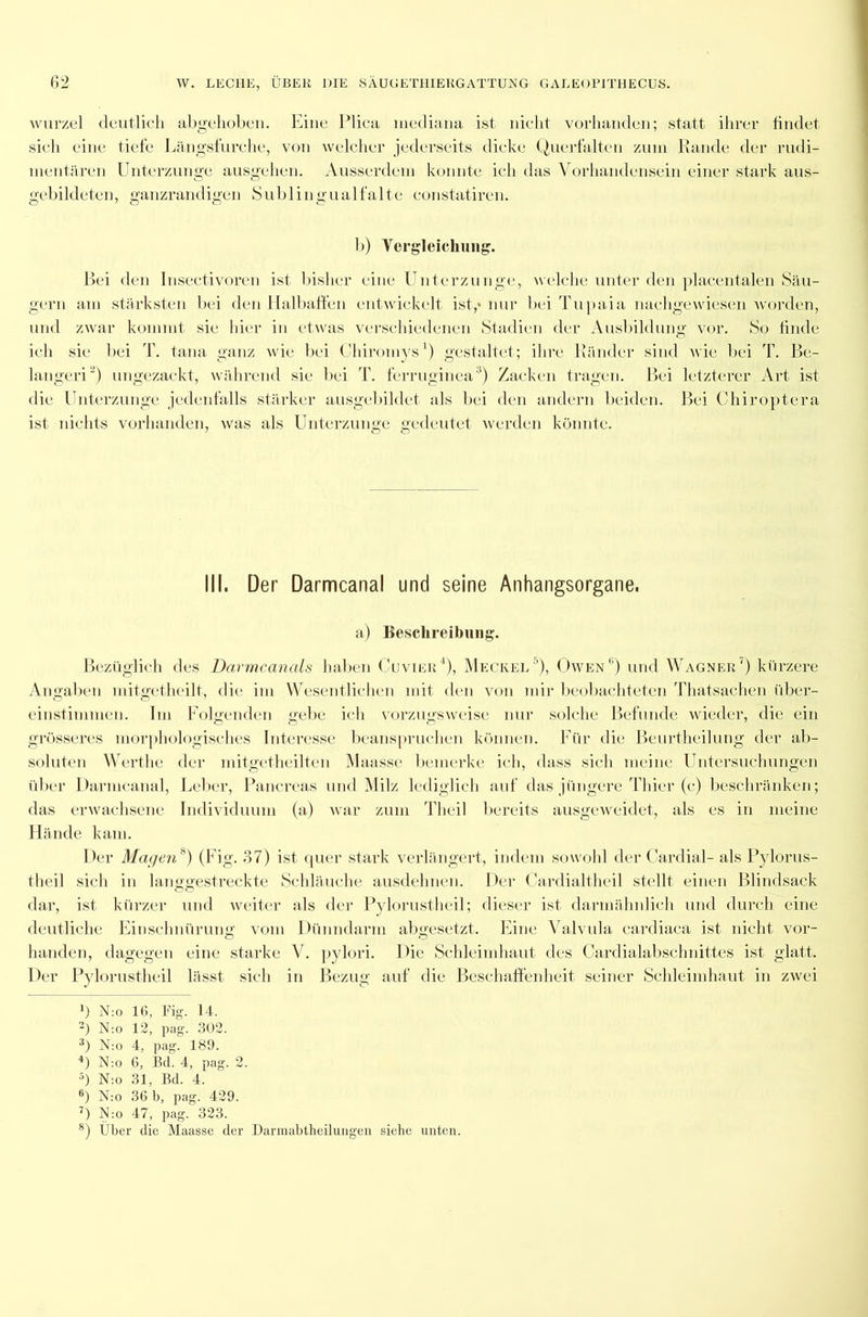wurzel deutlich abgehoben. Eine Plica mediana ist nicht vorhanden; statt ihrer findet sich eine tiefe Längsfurche, von welcher jederseits dicke Querfalten zum Rande der rudi- mentären Unterzunge ausgehen. Ausserdem konnte ich das Vorhandensein einer stark aus- gebildeten, ganzrandigen Sublingualfalte constatiren. b) Vergleichung. Bei den Insectivoren ist bisher eine Unterzunge, welche unter den placentalen Säu- gern am stärksten bei den Halbaffen entwickelt ist,* nur bei Tupaia nachgewiesen worden, und zwar kommt sie hier in etwas verschiedenen Stadien der Ausbildung vor. So finde ich sie bei T. tana ganz wie bei Chiromys1 *) gestaltet; ihre Ränder sind wie bei T. Be- langen“) ungezackt, während sie bei T. ferruginea3 4) Zacken tragen. Bei letzterer Art ist die Unterzunge jedenfalls stärker ausgebildet als bei den andern beiden. Bei Chiroptera ist nichts vorhanden, was als Unterzunge gedeutet werden könnte. III. Der Darmcanal und seine Anhangsorgane. a) Beschreibung. Bezüglich des Darmcanals haben CuvierQ, Meckel5), Owen6) und Wagner7 8) kürzere Angaben mitgetheilt, die im Wesentlichen mit den von mir beobachteten Thatsachen über- einstimmen. Im Folgenden gebe ich vorzugsweise nur solche Befunde wieder, die ein grösseres morphologisches Interesse beanspruchen können. Für die Beurtheilung der ab- soluten Werthe der mitgetheilten Maasse bemerke ich, dass sich meine Untersuchungen über Darmcanal, Leber, Pancreas und Milz lediglich auf das jüngere Thier (c) beschränken; das erwachsene Individuum (a) war zum Th eil bereits ausgeweidet, als es in meine Hände kam. Der Magen*) (Fig. 37) ist quer stark verlängert, indem sowohl der Cardial- als Pylorus- theil sich in langgestreckte Schläuche ausdehnen. Der Cardialtheil stellt einen Blindsack dar, ist kürzer und weiter als der Pylorustheil; dieser ist darmähnlich und durch eine deutliche Einschnürung vom Dünndarm abgesetzt. Line Valvula cardiaca ist nicht vor- handen, dagegen eine starke V. pylori. Die Schleimhaut des Cardialabschnittes ist glatt. Der Pylorustheil lässt sich in Bezug auf die Beschaffenheit seiner Schleimhaut in zwei ’) N:o 16, Fig. 14. -) N:o 12, pag. 302. 3) N:o 4, pag. 189. 4) N:o 6, Bd. 4, pag. 2. 5) N:o 31, Bd. 4. 6) N:o 36 b, pag. 429. 7) N:o 47, pag. 323. 8) Über die Maasse der Darmabtheilungen siehe unten.