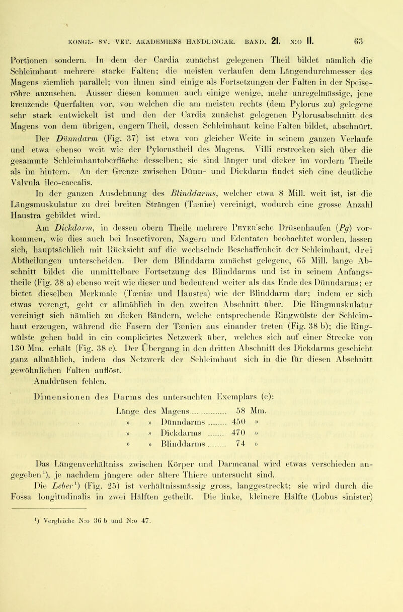 Portionen sondern. In dem der Cardia zunächst gelegenen Theil bildet nämlich die Schleimhaut mehrere starke Falten; die meisten verlaufen dem Längendurchmesser des Magens ziemlich parallel; von ihnen sind einige als Fortsetzungen der Falten in der Speise- röhre anzusehen. Ausser diesen kommen auch einige wenige, mehr unregelmässige, jene kreuzende Querfalten vor, von welchen die am meisten rechts (dem Pylorus zu) gelegene sehr stark entwickelt ist und den der Cardia zunächst gelegenen Pylorusabschnitt des Magens von dem übrigen, engern Theil, dessen Schleimhaut keine Falten bildet, abschnürt. Der Dünndarm (Fig. 37) ist etwa von gleicher Weite in seinem ganzen Verlaufe und etwa ebenso weit wie der Pylorustheil des Magens. Villi erstrecken sich über die gesammte Schleimhautoberfläche desselben; sie sind länger und dicker im vordem Theile als im hintern. An der Grenze zwischen Dünn- und Dickdarm findet sich eine deutliche Valvula ileo-caecalis. In der ganzen Ausdehnung des Blinddarms, welcher etwa 8 Milk weit ist, ist die Längsmuskulatur zu drei breiten Strängen (Trenne) vereinigt, wodurch eine grosse Anzahl Haustra gebildet wird. Am Dickdarm, in dessen obern Theile mehrere PEYERsche Drüsenhaufen (Pg) Vor- kommen, wie dies auch bei Insectivoren, Nagern und Edentaten beobachtet worden, lassen sich, hauptsächlich mit Rücksicht auf die wechselnde Beschaffenheit der Schleimhaut, drei Abtheilungen unterscheiden. Der dem Blinddarm zunächst gelegene, 65 Milk lange Ab- schnitt bildet die unmittelbare Fortsetzung des Blinddarms und ist in seinem Anfangs- theile (Fig. 38 a) ebenso weit wie dieser und bedeutend weiter als das Ende des Dünndarms; er bietet dieselben Merkmale (Tamiae und Haustra) wie der Blinddarm dar; indem er sich etwas verengt, geht er allmählich in den zweiten Abschnitt über. Die Ringmuskulatur vereinigt sich nämlich zu dicken Bändern, welche entsprechende Ringwülste der Schleim- haut erzeugen, während die Fasern der Taenien aus einander treten (Fig. 38 b); die Ring- wülste gehen bald in ein complicirtes Netzwerk über, welches sich auf einer Strecke von 130 Mm. erhält (Fig. 38 c). Der Übergang in den dritten Abschnitt des Dickdarms geschieht ganz allmählich, indem das Netzwerk der Schleimhaut sich in die für diesen Abschnitt gewöhnlichen Falten auflöst. Analdrüsen fehlen. Dimensionen des Darms des untersuchten Exemplars (c): Länge des Magens 58 Mm. » » Dünndarms 450 » » » Dickdarms 470 » » » Blinddarms. 74 » Das Längenverhältniss zwischen Körper und Darmcanal wird etwas verschieden an- gegeben1), je nachdem jüngere oder ältere Thiere untersucht sind. Die LeberQ (Fig. 25) ist verhältnissmässig gross, langgestreckt; sie wird durch die Fossa longitudinalis in zwei Hälften getheilt. Die linke, kleinere Hälfte (Lobus sinister) 0 Vergleiche N:o 36 b und N:o 47.