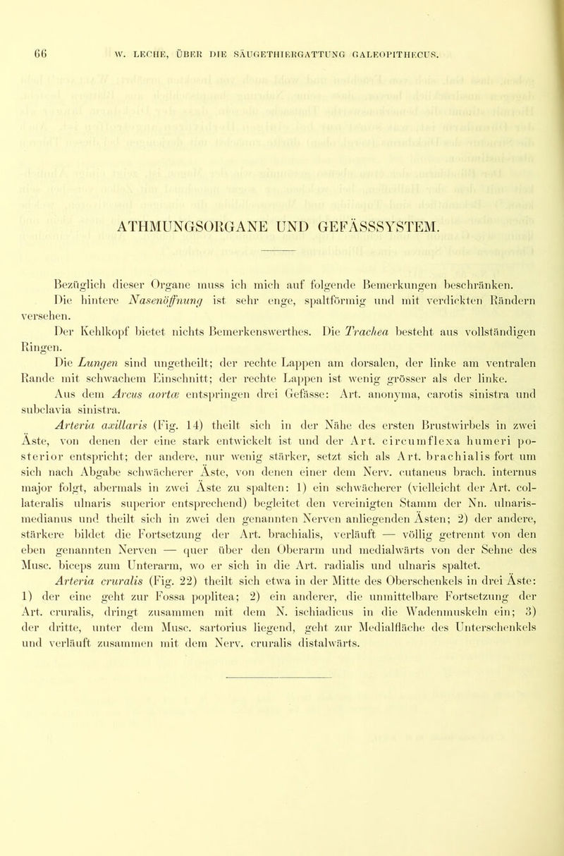 ATHMUNGSORGANE UND GEFÄSSSYSTEM. Bezüglich dieser Organe muss icli mich auf folgende Bemerkungen beschränken. Die hintere Nasenöffnung ist sehr enge, spaltförmig und mit verdickten Rändern versehen. Der Kehlkopf bietet nichts Bemerkenswerthes. Die Trachea besteht aus vollständigen Ringen. Die Lungen sind ungetheilt; der rechte Lappen am dorsalen, der linke am ventralen Rande mit schwachem Einschnitt; der rechte Lappen ist wenig grösser als der linke. Aus dem Arcus aortce entspringen drei Gefässe: Art. anonyma, carotis sinistra und subclavia sinistra. Arteria axillaris (Fig. 14) theilt sich in der Nähe des ersten Brustwirbels in zwei Aste, von denen der eine stark entwickelt ist und der Art. circumflexa humeri po- sterior entspricht; der andere, nur wenig stärker, setzt sich als Art. brachialis fort um sicli nach Abgabe schwächerer Äste, von denen einer dem Nerv, cutaneus brach, internus major folgt, abermals in zwei Äste zu spalten: 1) ein schwächerer (vielleicht der Art. col- lateralis ulnaris superior entsprechend) begleitet den vereinigten Stamm der Nn. ulnaris- medianus und theilt sich in zwei den genannten Nerven anliegenden Ästen; 2) der andere, stärkere bildet die Fortsetzung der Art. brachialis, verläuft — völlig getrennt von den eben genannten Nerven — quer über den Oberarm und medialwärts von der Sehne des Muse, biceps zum Unterarm, wo er sich in die Art. radialis und ulnaris spaltet. Arteria cruralis (Fig. 22) theilt sich etwa in der Mitte des Oberschenkels in drei Äste: 1) der eine geht zur Fossa poplitea; 2) ein anderer, die unmittelbare Fortsetzung der Art. cruralis, dringt zusammen mit dem N. ischiadicus in die Wadenmuskeln ein; 3) der dritte, unter dem Muse, sartorius liegend, geht zur Medialfläche des Unterschenkels und verläuft zusammen mit dem Nerv, cruralis distalwärts.