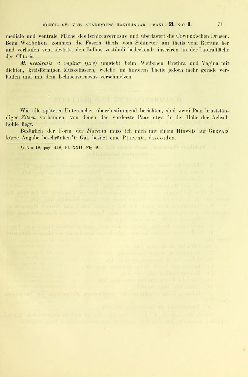 mediale und ventrale Fläche des Ischiocavernosus und überlagert die CowPER’schen Drüsen. Beim Weibchen kommen die Fasern theils vom Sphincter ani theils vom Rectum her und verlaufen ventralwärts, den Bulbus vestibuli bedeckend; inseriren an der Lateralfläche der Clitoris. M. uretliralis et vagince (urv) umgiebt beim Weibchen Urethra und Vagina mit dichten, kreisförmigen Muskelfasern, welche im hinteren Theile jedoch mehr gerade ver- laufen und mit dem Ischiocavernosus verschmelzen. Wie alle späteren Untersucher übereinstimmend berichten, sind zwei Paar bruststän- diger Zitzen vorhanden, von denen das vorderste Paar etwa in der Höhe der Achsel- höhle liegt. . Bezüglich der Form der Placenta muss ich mich mit einem Hinweis auf Gervais’ kurze Angabe beschränken1): Gal. besitzt eine Placenta discoidea.