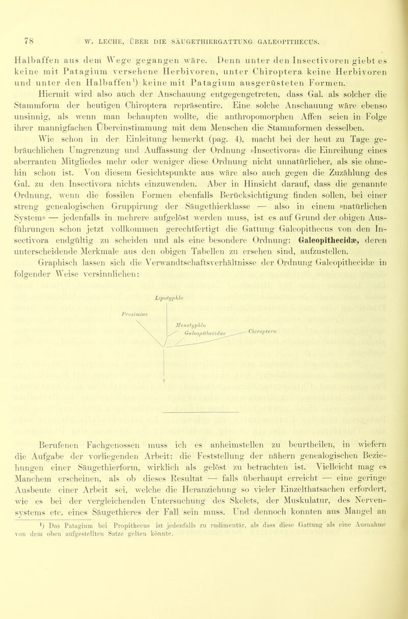 Halbaffen aus dem Wege gegangen wäre. Denn unter den Insectivoren giebt es keine mit Pataginm versehene Iderbivoren, unter Chiroptera keine Herbivoren und unter den Halbaffen1) keine mit Patagium ausgerüsteten Formen. Hiermit wird also auch der Anschauung entgegengetreten, dass Gal. als solcher die Stammform der heutigen Chiroptera repräsentire. Eine solche Anschauung wäre ebenso unsinnig, als wenn man behaupten wollte, die anthropomorphen Affen seien in Folge ihrer mannigfachen Übereinstimmung mit dem Menschen die Stammformen desselben. Wie schon in der Einleitung bemerkt (pag. 4), macht bei der heut zu Tage ge- bräuchlichen Umgrenzung und Auffassung der Ordnung »Insectivora» die Einreihung eines aberranten Mitgliedes mehr oder weniger diese Ordnung nicht unnatürlicher, als sie ohne- hin schon ist. Von diesem Gesichtspunkte aus wäre also auch gegen die Zuzählung des Gal. zu den Insectivora nichts einzuwenden. Aber in Hinsicht darauf, dass die genannte Ordnung, wenn die fossilen Formen ebenfalls Berücksichtigung finden sollen, bei einer streng genealogischen Gruppirung der Säugethierklasse — also in einem »natürlichen System» — jedenfalls in mehrere aufgelöst werden muss, ist es auf Grund der obigen Aus- führungen schon jetzt vollkommen gerechtfertigt die Gattung Galeopithecus von den In- sectivora endgültig zu scheiden und als eine besondere Ordnung: Galeopitliecidae, deren unterscheidende Merkmale aus den obigen Tabellen zu ersehen sind, aufzustellen. Graphisch lassen sich die Verwandtschaftsverhältnisse der Ordnung Galeopitheckke in folgender Weise versinnlichen: G Lipotyphla ? Berufenen Fachgenossen muss ich es anheimstellen zu beurtheilen, in wiefern die Aufgabe der vorliegenden Arbeit: die Feststellung der nähern genealogischen Bezie- hungen einer Säugethierform, wirklich als gelöst zu betrachten ist. Vielleicht mag es Manchem erscheinen, als ob dieses Resultat -—- falls überhaupt erreicht — eine geringe Ausbeute einer Arbeit sei, welche die Heranziehung so vieler Einzelthatsachen erfordert, wie es bei der vergleichenden Untersuchung des Skelets, der Muskulatur, des Nerven- systems etc. eines Säugethieres der Fall sein muss. Und dennoch konnten aus Mangel an b Das Patagium bei Propithecus ist jedenfalls zu rudimentär, als dass diese Gattung als eine Ausnahme von dem oben aufgestellten Satze gelten könnte.