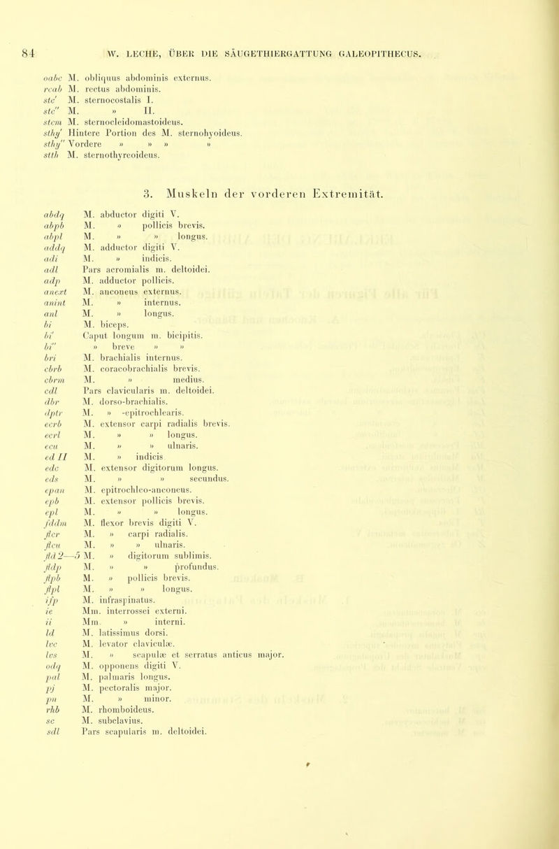 oabc M. obliquus abdominis extermis. rcab M. rectus abdominis. stc M. sternocostalis 1. stc M. » II. stcm M. sternocleidomastoideus. sthy Hintere Portion des M. sternohyoideus. stlei/’ Vordere » » » » stth M. sternotbyreoideus. 3. Muskeln der vorderen Extremität. abdq M. abpb M. abpl M. addq M. adi M. adl Pars adp M. anext M. anint M. anl M. bi M. bi' Cap bi!' )) bri M. ebrb M. ebrm M. cdl Pars dbr M. dptr M. ecrb M. ecrl M. ecu M. ed II M. edc M. eds M. epan M. epb M. epl M. fddm M. fler M. fleu M. fld 2- -5 M. fldp M. flpb M. flpl M. ifp M. ie Mm ii Mm Id M. Ivc M. lus M. odq M. pal M. ] Pj M. pn M. rhb M. ] sc M. i sdl Pars abductor digiti V. « pollicis brevis. digiti V. indicis. internus. longus. longus. biceps. ut longui breve » medius. 3 clavicnlaris m. deltoidei. dorso-brachialis. » -epitrochlearis. extensor carpi radialis brevis. » » longus. » » ulnaris. » indicis extensor digitorum longus. » » secundus. » » longus. M. Hexor brevis digiti V. carpi radialis. » ulnaris. digitorum sublimis. » profundus. pollicis brevis. » longus. » interni. latissimus dorsi. levator claviculae. » scapulae et serratus anticus major. opponens digiti V. palmaris longus. M. pectoralis major. » minor. r