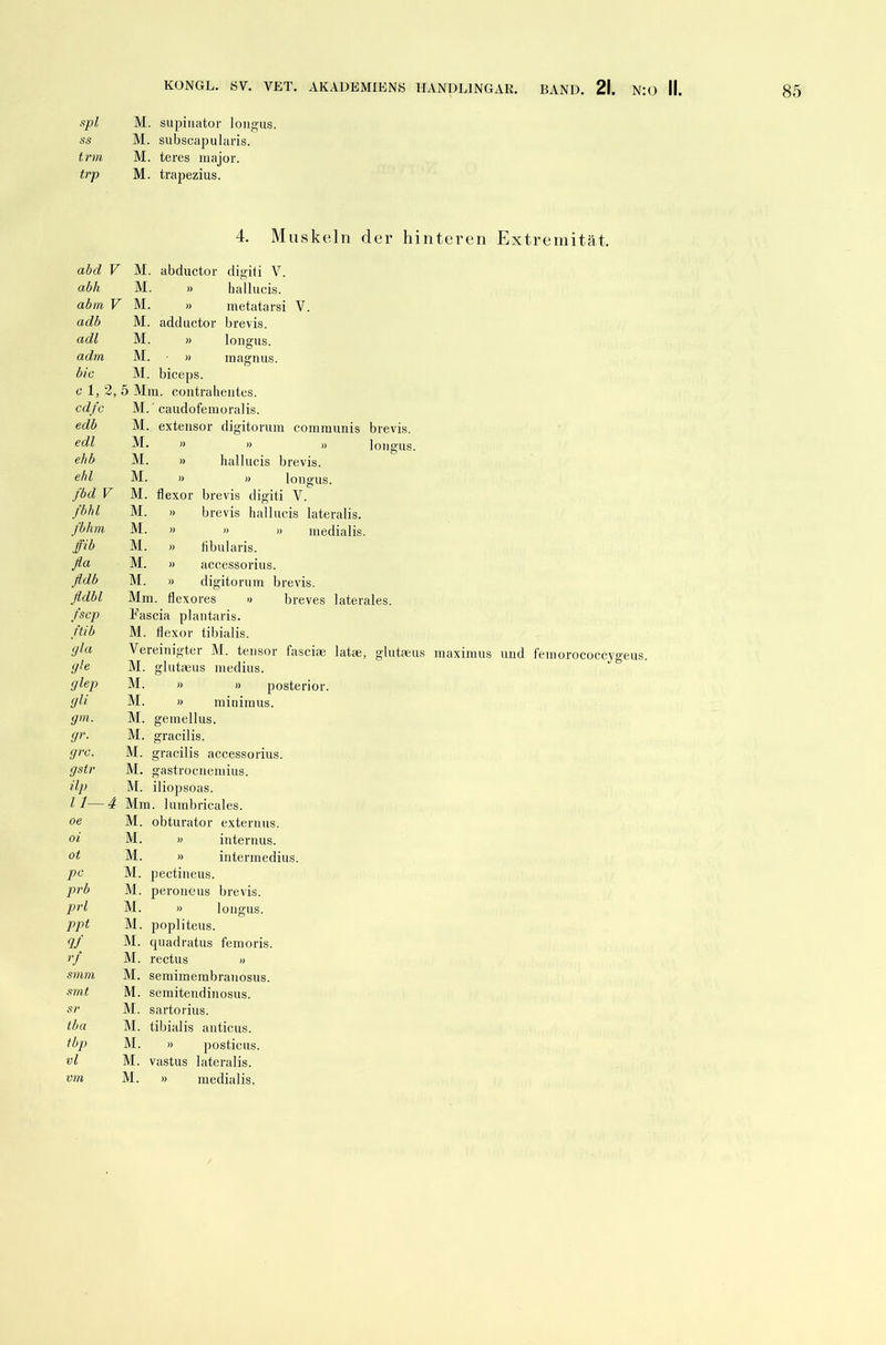 spl M. supinator longus. SS M. subscap ularis. trm M. teres major. trp M. trapezius. 4. Muskeln abd V M. abductor digiti V. abh M. » hallucis. abm V M. » metatarsi V. adb M. adductor brevis. cidl M. » longus. adm M. • » magnus. bic M. biceps. c 1, 2, 5 Mm. contraheutes. cdfc M. caudofemoralis. edb M. extensor digitorum communis edl M. » » » ehb M. » hallucis brevis. ebl M. » » longus. longus. fbd V fbhl fl/hm ffib fla fldb fldbl fscp ftib rjla <jte r/lep (jli gm. gr. grc. gstr ilp 11— oe oi ot pc prb prl ppt <lf rf smm smt sr tba tbp vl M. flexor brevis digiti V. M. » brevis hallucis lateralis. M. » » » medialis. M. » fibularis. M. » accessorius. M. » digitorum brevis. Mm. flexores » breves laterales. Fascia plantaris. M. flexor tibialis. Vereinigter M. tensor fasciae lat®, glutseus maximus und femorococcygeus. M. glutseus medius. M. M. M. » posterior, minimus. gemellus. M. gracilis. M. gracilis accessorius. M. gastrocnemius. M. iliopsoas. Mm. lumbricales. M. obturator externus. M. » internus. M. » intermedius. M. pectineus. M. peroneus brevis. M. » longus. M. popliteus. M. quadratus femoris. M. rectus » M. semimembrauosus. M. semitendinosus. M. sartorius. M. tibialis anticus. M. » posticus. M. vastus lateralis. M. » medialis.