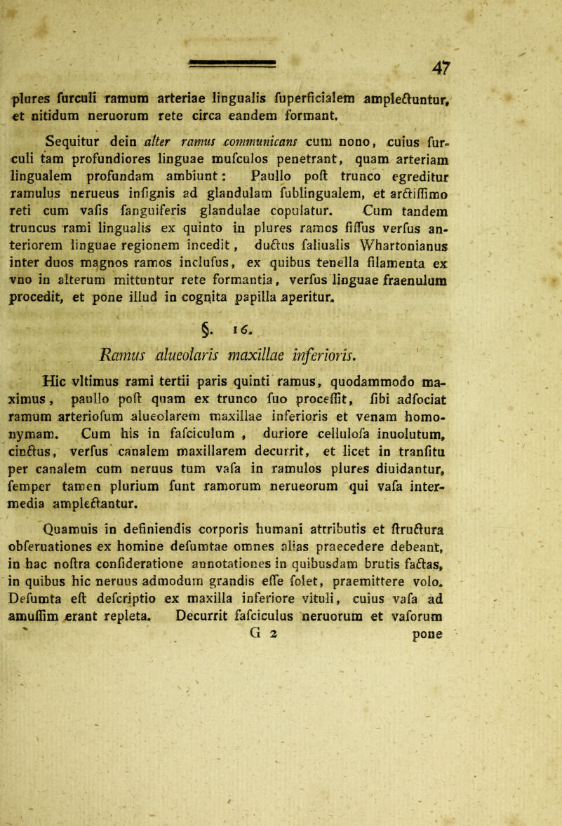 ' > plures furculi ramum arteriae lingualis fuperficialem ample&untur, et nitidum neruorum rete circa eandem formant. / Sequitur dein alter ramus communicans cum nono, cuius fur» culi tam profundiores linguae mufculos penetrant, quam arteriam lingualem profundam ambiunt: Paullo poft trunco egreditur ramulus nerueus inlignis ad glandulam fublingualem, et arftiflimo reti cum vafis faoguiferis glandulae copulatur. Cum tandem truncus rami lingualis ex quinto in plures ramos filTus verfus an- teriorem linguae regionem incedit, du&us faliualis Whartonianus inter duos magnos ramos inclufus, ex quibus tenella filamenta ex vno in alterum mittuntur rete formantia, verfus linguae fraenulum procedit, et pone illud in cognita papilla aperitur* §. 16. Ramus alueolaris maxillae inferioris. Hic vltimus rami tertii paris quinti ramus, quodammodo ma- ximus, paullo poft quam ex trunco fuo procellit, libi adfociat ramum arteriofum alueoiarem maxillae inferioris et venam homo- nymam. Cum his in fafeiculum , duriore cellulofa inuolutum, cinftus, verfus canalem maxillarem decurrit, et licet in tranfitu per canalem cum neruus tum vafa in ramulos plures diuidantur, femper tamen plurium funt ramorum nerueorum qui vafa inter- media ampleftantur. Quamuis in definiendis corporis humani atrributis et ftruftura obferuationes ex homine defumtae omnes alias praecedere debeant, in hac noftra confideratione annotationes in quibusdam brutis faftas, in quibus hic neruus admodum grandis e&e folet, praemittere volo* Defumta eft defcrjptio ex maxilla inferiore vituli, cuius vafa ad amuffim erant repleta. Decurrit fafciculus neruorum et vaforum G 2 pone /