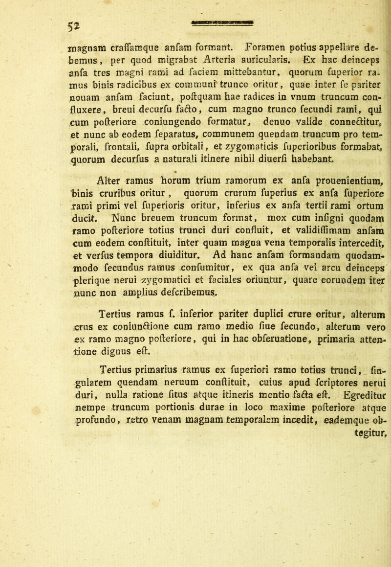 magnam eraffamque anfam formant. Foramen potius appellare de- bemus , per quod migrabat Arteria auricularis. Ex hac deinceps anfa tres magni rami ad faciem mittebantur, quorum fuperior ra- mus binis radicibus ex communi trunco oritur , quae inter fe pariter nouam anfam faciunt, poftquam hae radices in vnum truncum con- fluxere, breui decurfu fafto, cum magno trunco fecundi rami, qui cum pofteriore coniungendo formatur, denuo valide conneftitur, et nunc ab eodem feparatus, communem quendam truncum pro tem- porali, frontali, fupra orbitali, et zygomaticis fuperioribus formabat, quorum decurfus a naturali itinere nihil diuerfi habebant Alter ramus horum trium ramorum ex anfa prouenientium, binis cruribus oritur , quorum crurum fuperius ex anfa fuperiore rami primi vel fuperioris oritur, inferius ex anfa tertii rami ortum ducit. Nunc breuern truncum format, mox cum infigni quodam ramo pofteriore totius trunci duri confluit, et validi (limam anfam cum eodem conftituit, inter quam magna vena temporalis intercedit, et verfus tempora diuiditur. Ad hanc anfam formandam quodam- modo fecundus ramus confutuitur, ex qua anfa vel arcu deinceps pierique nerui zygomatici et faciales oriuntur, quare eorundem iter nunc non amplius defcribemus» Tertius ramus f. inferior pariter duplici crure oritur, alterum erus ex coniun&ione cum ramo medio flue fecundo, alterum vero ex ramo magno pofteriore, qui in hac obferuatione* primaria atten- tione dignus eft. Tertius primarius ramus ex fuperiori ramo totius trunci, An- gularem quendam neraum conftituit, cuius apud fcriptores nerui duri, nulla ratione litus atque itineris mentio fafta eft. Egreditur nempe truncum portionis durae in loco maxime pofteriore atque profundo, retro venam magnam temporalem incedit, eademque ob- tegitur,