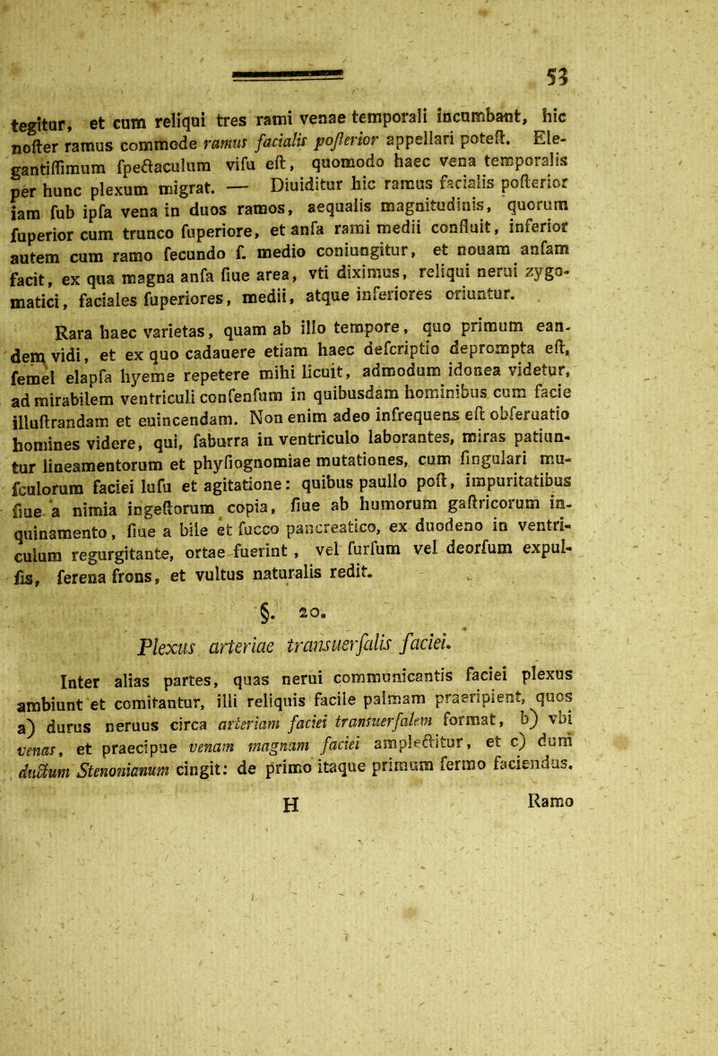 tegitur, et cum reliqui tres rami venae temporali incumbant, hic nofter ramus commode ramus facialis pojhrior appellari poteft. Ele- gantiflimum fpeftaculum vifu eft, quomodo haec vena temporalis per hunc plexum migrat. — Diuiditur hic ramus facialis poflerior iam fub ipfa vena in duos ramos, aequalis magnitudinis, quorum fuperior cum trunco fu periore, etanfa rami medii confluit, inferior autem cum ramo fecundo f. medio coniungitur, et nonam anfam facit, ex qua magna anfa flue area, vti diximus, reliqui nerui zygo- matici, faciales fuperiores, medii, atque inferiores oriuntur. Rara haec varietas, quam ab illo tempore, quo primum ean- dem vidi, et ex quo cadauere etiam haec defcriptio deprompta eft, femel elapfa hyeme repetere mihi licuit, admodum idonea videtur, ad mirabilem ventriculi confenfum in quibusdam hominibus cum facie illuftrandam et euincendam. Non enim adeo infrequens eft oofeniatio homines videre, qui, faburra in ventriculo laborantes, miras patiun- Iqj* lineamentorum et phyfiognomiae mutationes,, cum lingulari mu- fculorum faciei lufu et agitatione: quibus paulio poft, impuritatibus f!ue a nimia ingeftorum copia, fiue ab humorum gaftricoium in- quinamento, flue a bile et fucco pancreatico, ex duodeno in ventri- culum regurgitante, ortae fuerint, vel furfum vel deorfum expul- it ferena frons, et vultus naturalis redit. §. 20. Plexus arteriae tramuerfalis faciei. Inter alias partes, quas nerui communicantis faciei plexus ambiunt et comitantur, illi reliquis facile palmam praeripient, quos a) durus neruus circa arteriarh faciei transuerfalm format, b) vbi venas, et praecipue venam magnam faciei ampkftitur, et cj deni duUum Stenonianum cingit: de primo itaque primum ferrno faciendas. H Ramo