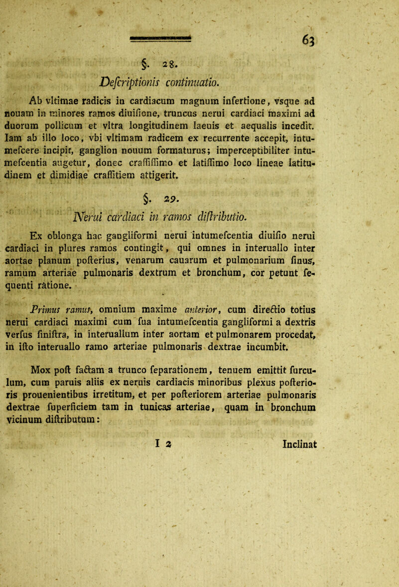 §• ^ 8* Defcriptionis continuatio. Ab vltimae radicis in cardiacum magnum infertione, vsque ad nouam in minores ramos diuifione, truncus nerui cardiaci maximi ad duorum pollicem et vitra longitudinem laeuis et aequalis incedit. Iam ab illo loco, vbi vltimam radicem ex recurrente accepit, intu- mefcere incipit, ganglion nouum formaturus; imperceptibiliter intu- mefcentia augetur, donec craffiffimo et latiflimo loco lineae latitu- dinem et dimidiae craffitiem attigerit, §. 29. Nerui cardiaci in ramos diflributio. Ex oblonga hac gangliformi nerui intumefcentia diuifio nerui cardiaci in piares ramos contingit, qui omnes in interuallo inter aortae planum pofterius, venarum cauarum et pulmonarium finus, ramum arteriae pulmonaris dextrum et bronchum, cor petunt fe- quenti ratione. Primus ramus, omnium maxime anterior, cum direftio totius nerui cardiaci maximi cum fua intumefcentia gangliformi a dextris verfus finiftra, in interuallum inter aortam et pulmonarem procedat, in ifto interuallo ramo arteriae pulmonaris dextrae incumbit. Mox poft faftam a trunco feparationem, tenuem emittit furcu- lum, cum paruis aliis ex neruis cardiacis minoribus plexus pofterio- ris prouenientibus irretitum, et per pofteriorem arteriae pulmonaris dextrae fuperficiem tam in tunicas arteriae, quam in bronchum vicinum diftributum: • '  i I a - ' — Inclinat