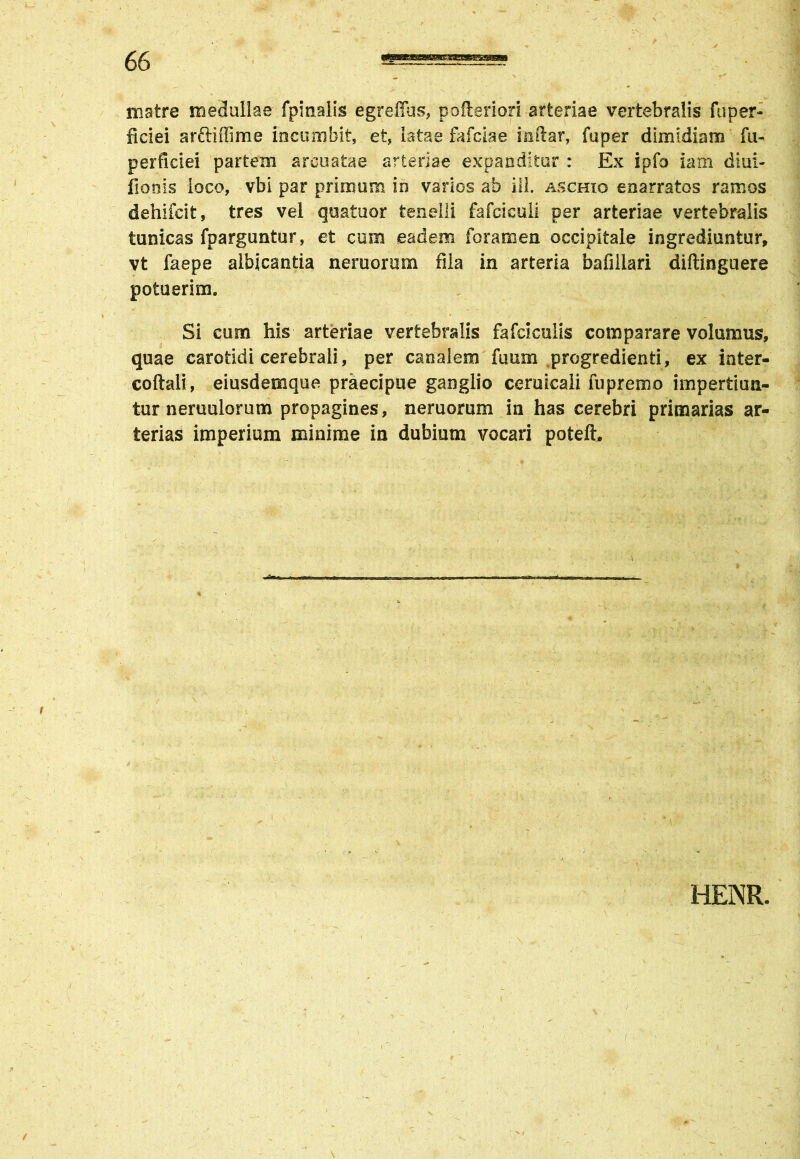 matre medullae fpinaiis egrefius, pofteriori arteriae vertebralis fuper- ficiei arftiffime incumbit, et, latae fafciae imftar, fuper dimidiam fu- perficiei partem arcuatae arteriae expanditor : Ex ipfo iam diui- fionis loco, vbi par primum in varios ab ili. aschio enarratos ramos dehifcit, tres vel quatuor tenelli fafciculi per arteriae vertebralis tunicas fparguntur, et cum eadem foramen occipitale ingrediuntur, vt faepe albicantia nemorum fila in arteria bafillari diftinguere potuerim. Si cum his arteriae vertebralis fafciculis comparare volumus, quae carotidi cerebrali, per canalem fuum progredienti, ex iater- coftali, eiusdemque praecipue ganglio ceruicali fupremo impertiun- tur aemulorum propagines, nemorum in has cerebri primarias ar- terias imperium minime in dubium vocari poteft. HENR. /