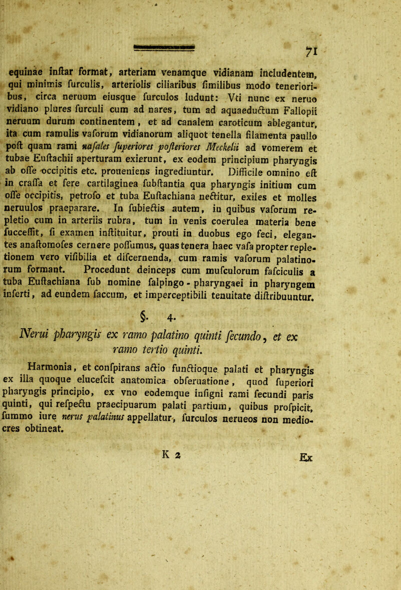 equinae inftar format, arteriam venamque vidianara includentem, qui minimis furculis, arteriolis ciliaribus fimilibus modo teneriori- bus, circa neruum eiusque furculos ludunt: Vti nunc ex neruo vidiano plures furculi cum ad nares, tum ad aquaeductum Faliopii neruum durum continentem, et ad canalem caroticum ablegantur, ita cum ramulis vaforum vidianorum aliquot tenella filamenta paullo poft quam rami nafates fuperiom pojteriores Meckelii ad vomerem et tubae Euftachii aperturam exierunt, ex eodem principium pharyngis ab ofle ^occipitis etc. proaeniens ingrediuntur. Difficile omnino eft in crafla et fere cartilaginea fubflantia qua pharyngis initium cum ofle occipitis, petrofo et tuba Euftachiana neftitur, exiles et molles neruulos praeparare. In fubieftis autem, in quibus vaforum re- pletio cum in arteriis rubra, tum in venis coerulea materia bene fucceffit, fi examen inftituitur, prouti in duobus ego feci, elegan- tes anaftomofes cernere poflumus, quas tenera haec vafa propter reple- tionem vero vifibilia et difcernenda, cum ramis vaforum palatino- rum formant. Procedunt deinceps cum mufculorum fafciculis a tuba Euftachiana fub nomine falpingo - pharyngaei in pharyngem inferti, ad eundem faecum, et imperceptibili tenuitate diftribuuntur. &. 4- I Nerui pharyngis ex ramo palatino quinti fecundo, et ex ramo tertio quinti. Harmonia, et confpirans aftio funftioque palati et pharyngis ex illa quoque elueefeit anatomica- obferuatione, quod fuperiori pharyngis principio, ex vno eodemque infigni rami fecundi paris quinti, qui refpectu praecipuarum palati partium, quibus profpicit, fummo iure nerus palatinus appellatur, furculos nerueos non medio- cres obtineat.
