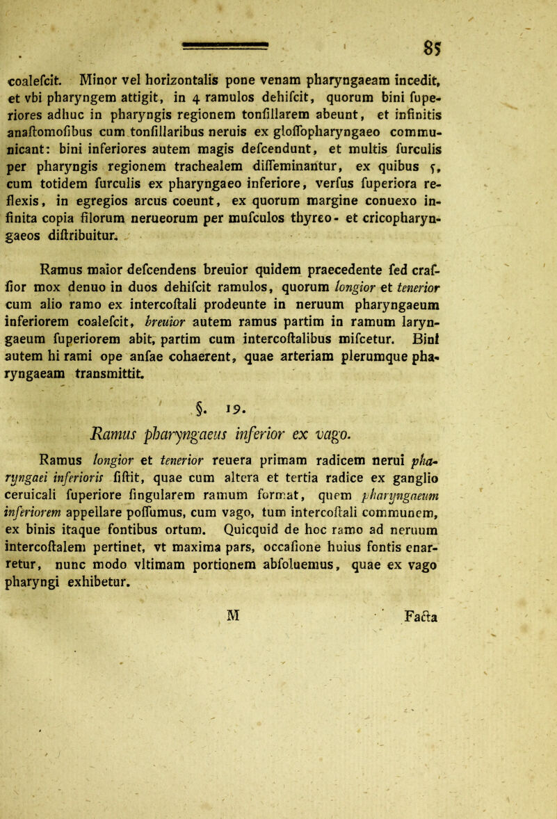 i' coalefcit. Minor vel horizontalis pone venam pharyngaeam incedit, et vbi pharyngem attigit, in 4 ramulos dehifcit, quorum bini fupe- riores adhuc in pharyngis regionem tonfillarem abeunt, et infinitis anaftomofibus cum tonfillaribus neruis ex gloflbpharyngaeo commu- nicant: bini inferiores autem magis defcendunt, et multis furculis per pharyngis regionem trachealem difleminantur, ex quibus f, cum totidem furculis ex pharyngaeo inferiore, verfus fuperiora re- flexis, in egregios arcus coeunt, ex quorum margine conuexo in- finita copia filorum nerueorum per mufculos thyreo- et cricopharyn- gaeos diftribuitur. Ramus maior defcendens breuior quidem praecedente fed craf- fior mox denuo in duos dehifcit ramulos, quorum longior et tenerior cum alio ramo ex intercoftali prodeunte in neruum pharyngaeum inferiorem coalefcit, breuior autem ramus partim in ramum laryn- gaeum fuperiorem abit, partim cum intercoftalibus mifcetur. Bini autem hi rami ope anfae cohaerent, quae arteriam plerumque pha- ryngaeam transmittit §• J9* t v * • - ' Ramus pharyngaeus inferior ex vago. Ramus longior et tenerior reuera primam radicem nerui ptia- njngaei inferioris fiftit, quae cum altera et tertia radice ex ganglio ceruicali fuperiore Angularem ramum format, quem pharyngaeum inferiorem appellare poflumus, cum vago, tum intercoftali communem, ex binis itaque fontibus ortum. Quicquid de hoc ramo ad neruum intercoftalem pertinet, vt maxima pars, occafione huius fontis enar- retur, nunc modo vltimam portiunem abfoluemus, quae ex vago pharyngi exhibetur. M Facta A