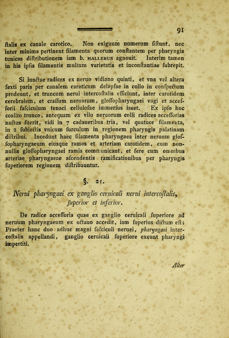 ' . -' W 15 -> ftalis ex canale carotico» Non exiguum numerum fiftunt, nec inter minima pertinent filamenta quorum conflantem per pharyngis tunicas diftributionem iam b. hallerus agnouit Interim tamen in his ipfis filamentis multum varietatis et inconftantiae fubrepit Si iunftae radices ex neruo vidiano quinti, et vna vel altera fexti paris per canalem caroticum delapfae in collo in confpeftum prodeunt, et truncum nerui intercoftalis efficiunt, inter carotidem cerebralem, et craflum neruorum, gloffopharyngaei vagi et accef- forii fafticulum tenaci cellulofae immerfus iaeet* Ex ipfo hoc coalito trunco, antequam ex vllo neruorum colli radices aeeeflorias naftus fuerit, vidi in 7 cadaueribus tria, vel quatuor filamenta, in 2 fubieffis vnicum furculum in regionem pharyngis palatinam diftribui» Incedunt haec filamenta pharyngaea inter neruum glof- fopharyngaeum eiusque ramos et arteriam carotidem, cum non- nullis gloflbpharyngaei ramis communicant, et fere eum omnibus arteriae pharyngaeae afcendentis ramificationibus per pharyngis fuperiorem regionem diftribuuntur» §. 2?. Nerui pharyngaei ex ganglio ceruicali nerui intercoftalis, fuperior et inferior. De radice accefforia quae ex ganglio ceruicali fuperiore ad neruum pharyngaeum ex oftauo accedit, iam fuperius diftum eft; Praeter hanc duo adhuc magni fafciculi neruei, pharyngaei inter- coftalis appellandi, ganglio ceruicali fuperiore exeunt pharyngi impertiti» , > ■ Alter