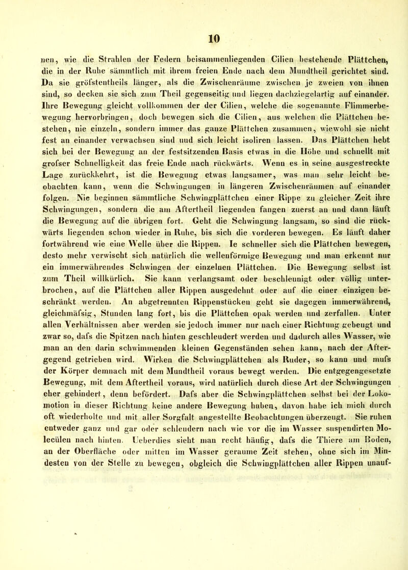 neu, wie die Strahlen der Federn bcisamtncnliegenden Cilicn bestehende Plättchen, die in der Ruhe sämmtlich mit ihrem freien Ende nach dem Mundtheil gerichtet sind. Da sie gröfstentheils länger, als die Zwischenräume zwischen je zweien von ihnen sind, so decken sie sich zum Theil gegenseitig und liegen dachziegclartig auf einander. Ihre Eewegung gleicht vollkommen der der Cilien, welche die sogenannte Flimmerbe- wegung hervorbringen, doch bewegen sich die Cilien, aus welchen die Plättchen be- stehen, nie einzeln, sondern immer das ganze Plättchen zusammen, wiewohl sie nicht fest an einander verwachsen sind und sich leicht isoliren lassen. Das Plättchen hebt sich hei der Bewegung an der festsitzenden Basis etwas in die Höhe und schnellt mit grofser Schnelligkeit das freie Ende nach rückwärts. Wenn es in seine ausgestreckte Lage zurückkehrt, ist die Bewegung etwas langsamer, was man sehr leicht be- obachten kann, wenn die Schwingungen in längeren Zwischenräumen auf einander folgen. Nie beginnen sämmtliche Schwingplättchcn einer Rippe zu gleicher Zeit ihre Schwingungen, sondern die am Aftertheil liegenden fangen zuerst an und dann läuft die Bewegung auf die übrigen fort. Geht die Schwingung langsam, so sind die rück- wärts liegenden schon wieder in Ruhe, bis sich die vorderen bewegen. Es läuft daher fortwährend wie eine Welle über die Rippen. Ie schneller sich die Plättchen bewegen, desto mehr verwischt sich natürlich die wellenförmige Bewegung und man erkennt nur ein immerwährendes Schwingen der einzelnen Plättchen. Die Bewegung selbst ist zum Theil willkürlich. Sie kann verlangsamt oder beschleunigt oder völlig unter- brochen, auf die Plättcheu aller Rippen ausgedehnt oder auf die einer einzigen be- schränkt werden. An abgetrennten Rippenstücken geht sie dagegen immerwährend, gleichmäfsig, Stunden lang fort, bis die Plättchen opak werden und zerfallen. Unter allen Verhältnissen aber werden sie jedoch immer nur nach einer Richtung gebeugt und zwar so, dafs die Spitzen nach hinten geschleudert werden und dadurch alles Wasser, wie mau an den darin schwimmenden kleinen Gegenständen sehen kann, nach der After- gegend getrieben wird. Wirken die Schwingplättchen als Ruder, so kann und mufs der Körper demnach mit dem Mundtheil voraus bewegt werden. Die entgegengesetzte Bewegung, mit dem Aftertheil voraus, wird natürlich durch diese Art der Schwingungen eher gehindert, denn befördert. Dafs aber die Schwingplättchen seihst hei der Loko- motion in dieser Richtung keine andere Bewegung buhen, davon habe ich mich durch oft wiederholte und mit aller Sorgfalt angestellte Beobachtungen überzeugt. Sie ruhen entweder ganz und gar oder schleudern nach wie vor die im Wasser suspendirten Mo- lecüleu nach hinten. Ueberdies sieht man recht häufig, dafs die Thicre am Boden, an der Oberfläche oder mitten im Wasser geraume Zeit stehen, ohne sich im Min- desten von der Stelle zu bewegen, obgleich die Schwiugplättchen aller Rippen unauf-