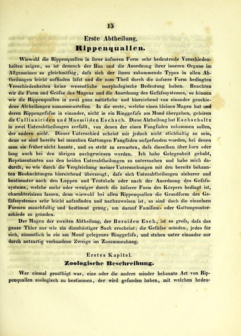 Erste Abtheilung. Rippenquallen. Wiewohl die Rippenquallen in ihrer äufseren Form sehr bedeutende Verschieden- heiten zeigen, so ist dennoch der Bau und die Anordnung ihrer inneren Organe im Allgemeinen so gleichmäfsig, dafs sich der ihnen zukommende Typus in allen Ab- theilungen leicht auffinden läfst und die zum Theil durch die äufsere Form bedingten Verschiedenheiten keine wesentliche morphologische Bedeutung haben. Beachten wir die Form und Gröfse des Magens und die Anordnung des Gefäfssystemes, so können wir die Rippenquallen in zwei ganz natürliche und hinreichend von einander geschie- dene Abtheilungen zusammenstellen. In die erste, welche einen kleinen Magen hat ub4 deren Rippengefäfse in einander, nicht in ein Ringgefäfs am Mund übergehen, gehören die C a 1 li an i r i d en un d Muern i i den Es ch s ch. Diese Abtheilung hat Eschscholtz in zw~ei Unterabteilungen zerfällt, von denen der einen Fangfäden zukommen sollen, der andern nicht. Dieser Unterschied scheint mir jedoch nicht stichhaltig zu sein, denn cs sind bereits bei manchen Gattungen Fangfäden aufgefunden worden, bei denen inan sie früher nicht kannte, und es steht zu erwarten, dafs dieselben über kurz oder lang auch bei den übrigen nachgewiesen werden. Ich habe Gelegenheit gehabt, Repräsentanten aus den beiden Unterabtheilungen zu untersuchen und habe mich da- durch, sowie durch die Vergleichung meiner Untersuchungen mit den bereits bekann- ten Beobachtungen hinreichend überzeugt, dafs sich Unterabtheilungen sicherer und bestimmter nach den Lappen und Tentakeln oder nach der Anordnung des Gefäfs- systems, welche mehr oder weniger durch die äufsere Form des Körpers bedingt ist, charakterisiren lassen, denn wiewohl bei allen Rippenquallen die Grundform des Ge- fäfssystemes sehr leicht aufzufinden und nachzuweisen ist, so sind doch die einzelnen Formen manchfaltig und bestimmt genug, um darauf Familien- oder Gattungsunter- schiede zu gründen. Der Magen der zweiten Abtheilung, der Beroiden Esch., ist so grofs, dafs das ganze Thier nur wie ein dünnhäutiger Sack erscheint; die Gefäfse münden, jedes für sich, sämmtlich in ein am Mund gelegenes Ringgefäfs, und stehen unter einander nur durch netzartig verbundene Zweige im Zusammenhang. Erstes Kapitel. Zoologische Beschreihung. Wer einmal genüthigt war, eine oder die andere minder bekannte Art von Rip- penquallen zoologisch zu bestimmen, der wird gefunden haben, mit welchen bedeu-