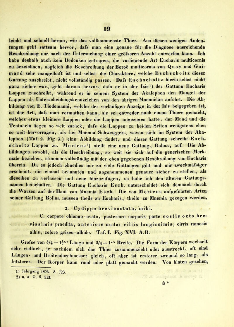 leicht und schnell herum, wie das vollkommenste Thier. Aus diesen wenigen Andeu- tungen geht sattsam hervor, dafs man eine genaue für die Diagnose ausreichende Beschreibung nur nach der Untersuchung einer gröfseren Anzahl entwerfen kann. Ich habe deshalb auch kein Bedenken getragen, die vorliegende Art Eucharis multicornis zu bezeichnen, obgleich die Beschreibung der Beroe multicornis von Q,uoy und Gai- mard sehr mangelhaft ist und selbst die Charaktere, welche Eschscholtz dieser Gattung zuschreibt, nicht vollständig passen. Dafs Eschscholtz hierin selbst nicht ganz sicher war, geht daraus hervor, dafs er in der Isis1) der Gattung Eucharis Lappen zuschreibt, während er in seinem System der Akalephen den Mangel der Lappen als Unterscheidungskennzeichen von den übrigen Mnemiidae anführt. Die Ab- bildung von E. Tiedeinanni, welche der vorläufigen Anzeige in der Isis beigegeben ist, ist der Art, dafs man vermuthen kann, sie sei entweder nach einem Thiere gemacht, welches etwas kleinere Lappen oder die Lappen angezogen hatte; der Mund und die Tentakeln liegen so weit zurück, dafs die Lappen zu beiden Seiten wenigstens eben so weit hervorragen, als hei Mnetnia Schweiggeri, wovon sich im System der Aka- lephen (Taf. 2. Fig. 3.) eine Abbildung findet, und dieser Gattung schreibt Esch- scholtz Lappen zu. Mertens2) stellt eine neue Gattung, Bolina, auf. Die Ab- bildungen sowohl, als die Beschreibung, so weit sie sieh auf die generischen Merk- male beziehen, stimmen vollständig mit der eben gegebenen Beschreibung von Eucharis überein. Da es jedoch ohnedies nur zu viele Gattungen gibt und mir zweckmäfsiger erscheint, die einmal bekannten und angenommenen genauer sicher zu stellen, als dieselben zu verlassen und neue hinzuzufügen, so habe ich den älteren Gattungs- namen beibehalten. Die Gattung Eucharis Esch, unterscheidet sich demnach durch die Warzen auf der Haut von Mnemia Esch. Die von Mertens aufgeführten Arten seiner Gattung Bolina müssen theils zu Eucharis, theils zu Mnemia gezogen werden» 2. Cydippe brevicostata, mihi. C. corpore oblongo-ovato, posteriore corporis parte costis octo bre- vissimis praedita, anteriore nuda; ciliis longissimis; cirris ramosis albis; colore griseo - albido. Taf. I. Fig. XVI. A. B. Gröfse von 3/4— li' Länge und 3/4 — l' Breite. Die Form des Körpers wechselt sehr vielfach, je nachdem sich das Tbier zusammenzieht oder ausstreckt, oft sind Längen- und Breitendurchmesser gleich, oft aber ist ersterer zweimal so lang, als letzterer. Der Körper kann rund oder platt gemacht werden. Von hinten gesehen, 1) Jahrgang 1825. S. 723. 2) a. a. 0. S. 513. 3 *