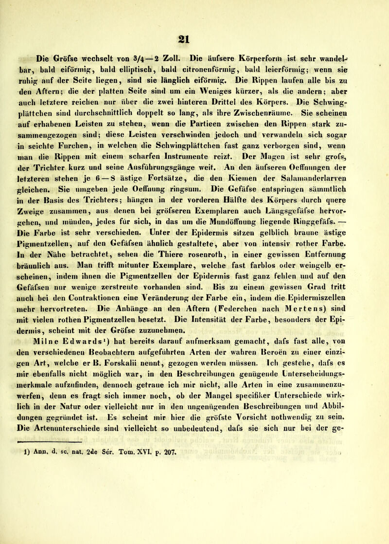 Die Gröfse wechselt von 3/4— 2 Zoll. Die äufsere Körperform ist sehr wandele bar, bald eiförmig, bald elliptisch, bald citronenförmig, bald leierförmig; wenn sie ruhig auf der Seite liegen, sind sie länglich eiförmig. Die Rippen laufen alle bis zu den Aftern; die der platten Seite sind um ein Weniges kürzer, als die andern; aber auch letztere reichen nur über die zwei hinteren Drittel des Körpers. Die Schwing- plättchen sind durchschnittlich doppelt so lang, als ihre Zwischenräume. Sie scheinen auf erhabenen Leisten zu stehen, wenn die Partieen zwischen den Rippen stark zu- sammengezogen sind; diese Leisten verschwinden jedoch und verwandeln sich sogar in seichte Furchen, in welchen die Schwingplättchen fast ganz verborgen sind, wenn man die Rippen mit einem scharfen Instrumente reizt. Der Magen ist sehr grofs, der Trichter kurz und seine Ausführungsgänge weit. An den äufseren Oeffnungcn der letzteren stehen je 6 — S ästige Fortsätze, die den Kiemen der Salamandcrlarven gleichen. Sie umgeben jede Oeffuung ringsum. Die Gefäfse entspringen sämmtlich in der Basis des Trichters; hängen in der vorderen Hälfte des Körpers durch quere Zweige zusammen, aus denen bei gröfseren Exemplaren auch Längsgcfäfse hervor- gehen, und münden, jedes für sich, in das um die Mundöffnung liegende Ringgefäfs» — Die Farbe ist sehr verschieden. Unter der Epidermis sitzen gelblich braune ästige Pigmentzellen, auf den Gefäfsen ähnlich gestaltete, aber von intensiv rotlier Farbe, ln der Nähe betrachtet, sehen die Thiere rosenroth, in einer gewissen Entfernung bräunlich aus. Man trifft mitunter Exemplare, welche fast farblos oder weingelb er- scheinen, indem ihnen die Pigmentzellen der Epidermis fast ganz fehlen und auf den Gefäfsen nur wenige zerstreute vorhanden sind. Bis zu einem gewissen Grad tritt auch bei den Contraktionen eine Veränderung der Farbe ein, indem die Epidermiszellen mehr hervortreten. Die Anhänge an den Aftern (Federchen nach Mertens) sind mit vielen rothen Pigmentzellen besetzt. Die Intensität der Farbe, besonders der Epi- dermis, scheint mit der Gröfse zuzunehmen. Mil ne Edwards1) hat bereits darauf aufmerksam gemacht, dafs fast alle, von den verschiedenen Beobachtern aufgeführten Arten der wahren Beroen zu einer einzi- gen Art, welche er B. Forskalii nennt, gezogen werden müssen. Ich gestehe, dafs es mir ebenfalls nicht möglich war, in den Beschreibungen genügende Unterscheidungs- merkmale aufzufinden, dennoch getraue ich mir nicht, alle Arten in eine zusammenzu- werfen, denn es fragt sich immer noch, ob der Mangel specifiker Unterschiede wirk- lich in der Natur oder vielleicht nur in den ungenügenden Beschreibungen und Abbil- dungen gegründet ist. Es scheint mir hier die gröfste Vorsicht uothwendig zu sein. Die Artenunterschiede sind vielleicht so unbedeutend, dafs sie sich nur bei der ge- 1) Ann. d. sc. nat, 2de Ser. Tom. XYI. p. 207.