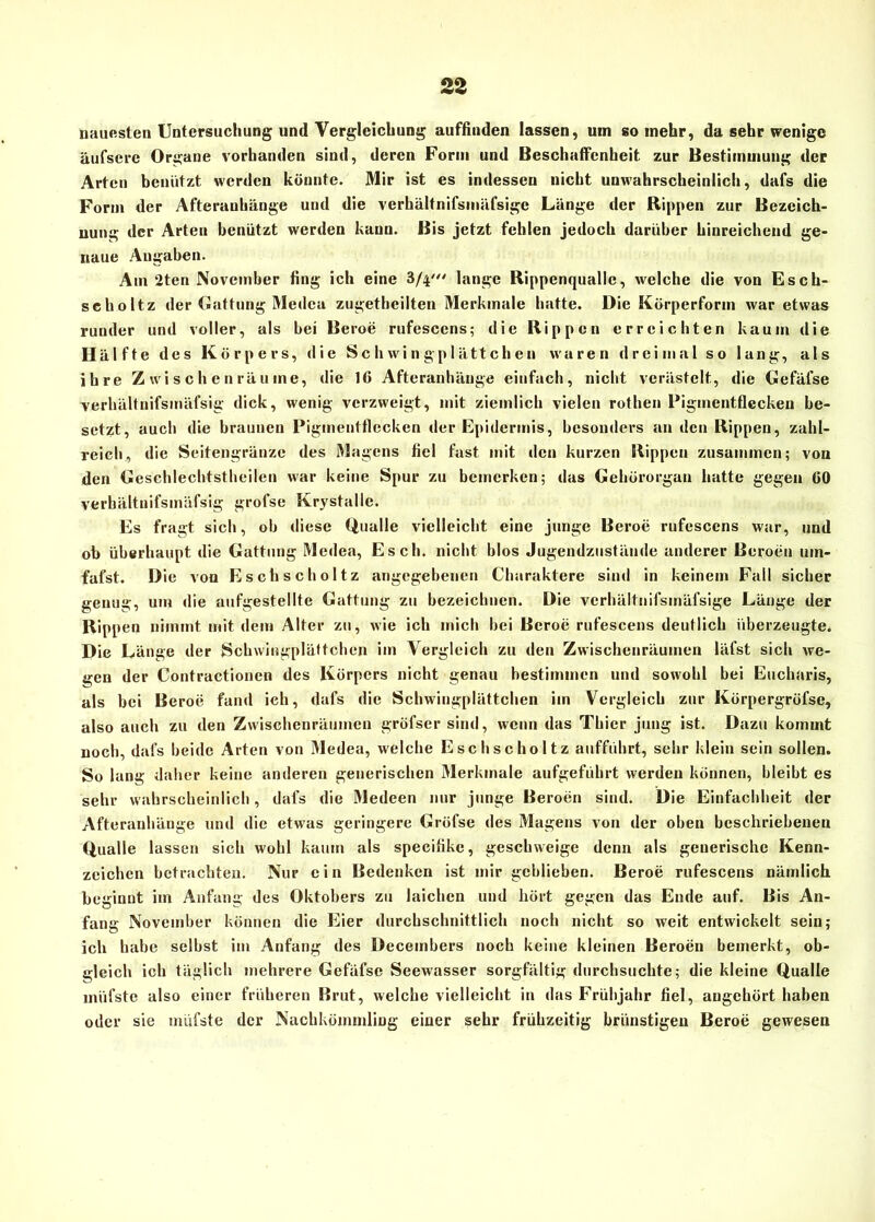 nauesten Untersuchung und Vergleichung auffinden lassen, um so mehr, da sehr wenige äufscrc Organe vorhanden sind, deren Form und Beschaffenheit, zur Bestimmung der Arten benützt werden könnte. Mir ist es indessen nicht unwahrscheinlich, dafs die Form der Afterauhänge und die verhältnifsmäfsige Länge der Rippen zur Bezeich- nung der Arten benützt werden kann. Bis jetzt fehlen jedoch darüber hinreichend ge- naue Augaben. Am 2ten November fing ich eine 3/4' lange Rippenqualle, welche die von Esch- scholtz der Gattung Medca zugetheilten Merkmale hatte. Die Körperform war etwas runder und voller, als bei Beroe rufescens; die Rippen erreichten kaum die Hälfte des Körpers, die Schwingplättchen waren dreimal so lang, als ihre Zwischenräume, die 16 Afteranhänge einfach, nicht verästelt, die Gefäfse verhältnifsmäfsig dick, wenig verzweigt, mit ziemlich vielen rothen Pigmentflecken be- setzt, auch die braunen Pigmentflecken der Epidermis, besonders an den Rippen, zahl- reich, die Seitengränze des Magens fiel fast mit den kurzen Rippen zusammen; von den Geschlechtstheilen war keine Spur zu bemerken; das Gehörorgan hatte gegen 60 verhältuifsmäfsig grofse Krystalle. Es fragt sich, ob diese Qualle vielleicht eine junge Beroe rufescens war, und ob überhaupt die Gattung Medea, Esch, nicht blos Jugendzustände anderer Beroen um- fafst. Die von Eschscholtz angegebenen Charaktere sind in keinem Fall sicher genug, um die aufgestellte Gattung zu bezeichnen. Die verhältnifsmäfsige Länge der Rippen nimmt mit dem Alter zu, wie ich mich bei Beroe rufescens deutlich überzeugte. Die Länge der Schwingplättchen im Vergleich zu den Zwischenräumen läfst sich we- gen der Contractionen des Körpers nicht genau bestimmen und sowohl bei Euchnris, als bei Beroe fand ich, dafs die Schwingplättchen im Vergleich zur Körpergröfse, also auch zu den Zwischenräumen grüfser sind, wenn das Thier jung ist. Dazu kommt noch, dafs beide Arten von Medea, welche Eschscholtz aufführt, sehr klein sein sollen. So lang daher keine anderen generischen Merkmale aufgeführt werden können, bleibt es sehr wahrscheinlich, dafs die Medeen nur junge Beroen sind. Die Einfachheit der Afteranhänge und die etwas geringere Grofse des Magens von der oben beschriebenen Qualle lassen sich wohl kaum als specifike, geschweige denn als generische Kenn- zeichen betrachten. Nur ein Bedenken ist mir geblieben. Beroe rufescens nämlich beginnt im Anfang des Oktobers zu laichen und hört gegen das Ende auf. Bis An- fang November können die Eier durchschnittlich noch nicht so weit entwickelt sein; ich habe seihst im Anfang des Decembers noch keine kleinen Beroen bemerkt, ob- gleich ich täglich mehrere Gefäfse Seewasser sorgfältig durchsuchte; die kleine Qualle müfste also einer früheren Brut, welche vielleicht in das Frühjahr fiel, augehört haben oder sie müfste der Nachkömmling einer sehr frühzeitig brünstigen Beroe gewesen