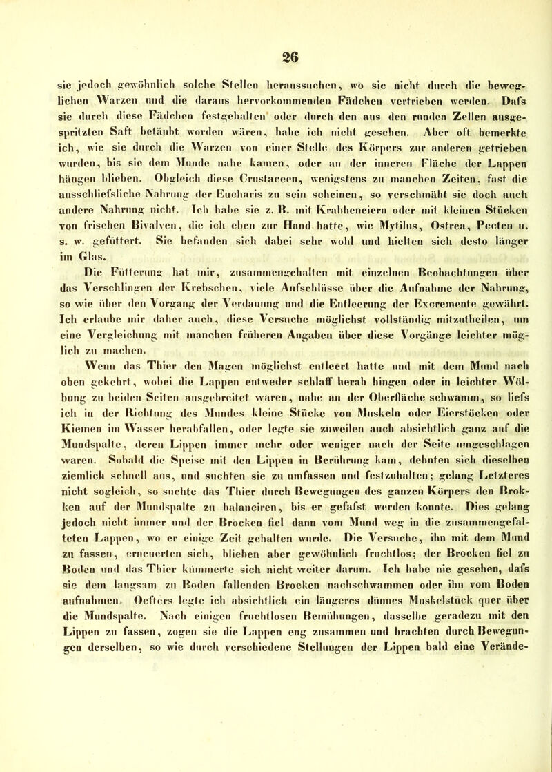 sie jedoch gewöhnlich solche Stellen hcranssuchen, wo sie nicht durch die beweg- lichen Warzen und die daraus hervorkommenden Fädchen vertrieben werden. Dafs sie durch diese Fädchcn fcstgehalten oder durch den aus den runden Zellen ausge- spritzten Saft betäubt worden wären, halte ich nicht gesehen. Aber oft bemerkte ich, wie sie durch die Warzen von einer Stelle des Körpers zur anderen getrieben wurden, bis sic dem Munde nahe kamen, oder an der inneren Fläche der Lappen hängen blieben. Obgleich diese Crustaccen, wenigstens zu manchen Zeiten, fast die ausschliefsliche Nahrung der Eucharis zu sein scheinen, so verschmäht sie doch auch andere Nahrung nicht. Ich halte sie z. II. mit Krabbeneiern oder mit kleinen Stücken von frischen Bivalven, die ich eben zur Hand hatte, wie Mytilus, Ostrea, Pecten u. s. w. gefüttert. Sie befanden sich dabei sehr wohl und hielten sich desto länger im Glas. Die Fütterung hat mir, zusammengehalten mit einzelnen Beobachtungen über das Verschlingen der Krebschen, viele Aufschlüsse über die Aufnahme der Nahrung, so wie über den Vorgang der Verdauung und die Entleerung der Excremente gewährt. Ich erlaube mir daher auch, diese Versuche möglichst vollständig initzuthcilen, um eine Vergleichung mit manchen früheren Angaben über diese Vorgänge leichter mög- lich zu machen. Wenn das Thier den Magen möglichst entleert hatte und mit dem Mund nach oben gekehrt, wobei die Lappen entweder schlaff herab hingen oder in leichter Wöl- bung zu beiden Seiten ausgebreitet waren, nahe an der Oberfläche schwamm, so liefs ich in der Richtung des Mundes kleine Stücke von Muskeln oder Eierstöcken oder Kiemen im Wasser herabfallen, oder legte sie zuweilen auch absichtlich ganz auf die Mundspalte, deren Lippen immer mehr oder weniger nach der Seite umgcschlagen waren. Sobald die Speise mit den Lippen in Berührung kam, dehnten sich dieselben ziemlich schnell aus, und suchten sie zu umfassen und festzuhalten; gelang Letzteres nicht sogleich, so suchte das Thier durch Bewegungen des ganzen Körpers den Brok- ken auf der Mundspalte zu balanciren, bis er gefafst werden konnte. Dies gelang jedoch nicht immer und der Brocken fiel dann vom Mund weg in die zusammengefal- teten Lappen, wo er einige Zeit gehalten wurde. Die Versuche, ihn mit dem Mund zu fassen, erneuerten sich, blieben aber gewöhnlich fruchtlos; der Brocken fiel zu Boden und das Thier kümmerte sich nicht weiter darum. Ich habe nie gesehen, dafs sie dem langsam zu Boden fallenden Brocken nachschwammen oder ihn vom Boden aufnahmen. Oefters legte ich absichtlich ein längeres dünnes Muskelstück quer über die Mundspalte. Nach einigen fruchtlosen Bemühungen, dasselbe geradezu mit den Lippen zu fassen, zogen sie die Lappen eng zusammen und brachten durch Bewegun- gen derselben, so wie durch verschiedene Stellungen der Lippen bald eine Verände-