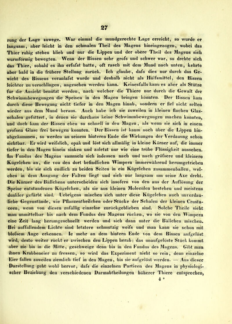 run«? der Lage zuwege. War einmal die mundgerechte Lage erreicht, so wurde er langsam, aber leicht in den schmalen Theil des Magens hineingezogen, wobei das Thier ruhig stehen blieb und nur die Lippen und der obere Theil des Magens sich wurmförmig bewegten. Wenn der Bissen sehr grofs und schwer war, so drehte sich das Thier, sobald es ihn erfafst hatte, oft rasch mit dem Mund nach unten, kehrte aber bald in die frühere Stellung zurück. Ich glaube, dafs dies nur durch das Ge- wicht des Bissens veranlafst wurde und deshalb nicht als Hiilfsmittel, den Bissen leichter zu verschlingen, angesehen werden kann. Keinesfalls kann es aber als Stütze für die Ansicht benützt werden, nach welcher die Thiere nur durch die Gewalt der Schwimmbewegungen die Speisen in den Magen bringen könnten- Der Bissen kam durch diese Bewegung nicht tiefer iu den Magen hinab, sondern er fiel nicht selten wieder aus dem Mund heraus. Auch habe ich sie zuweilen in kleinen flachen Glas- schalen gefiittert, in denen sie durchaus keine Schwimmbewegungen machen konnten, und doch kam der Bissen eben so schnell in den Magen , als wenn sie sich iu einem grofsen Glase frei bewegen konnten. Der Bissen ist kaum noch über die Lippen hin- abgekommen, so werden an seinem hinteren Ende die Wirkungen der Verdauung schon sichtbar. Er wird weifslich, opak und löst sich allmälig in kleine Körner auf, die immer tiefer in den Magen hinein sinken und zuletzt nur wie eine trübe Flüssigkeit aussehen. Im Fundus des Magens sammeln sich indessen nach und nach gröfsere und kleinere Kügelchen an, die von den dort befindlichen Wimpern immerwährend herumgetrieben werden, bis sie sich endlich zu beiden Seiten in ein Kügelchen zusammenballcn, wel- ches in dem Ausgang der Falten liegt und sich nur langsam um seine Axe dreht. Die Körner des Bällchens unterscheiden sich insofern von den aus der Auflösung der Speise entstandenen Kügelchen, als sie aus kleinen Moleciilcn bestehen und meistens dunkler gefärbt sind. Eebrigens mischen sich unter diese Kügelchen auch unverdau- liche Gegenstände, wie Pflanzentheilchen oder Stücke der Schalen der kleinen Crusta- ceen, wenn von diesen zufällig einzelne zurückgeblieben sind. Solche Theile sieht man unmittelbar bis nach dem Fundus des Magens rücken, wo sie von den Wimpern eine Zeit lang herumgeschnellt werden und sich dann unter die Bällchen mischen. Bei auffallendem Lichte sind letztere schmutzig weifs und man kann sie schon mit blofsem Auge erkennen. Ie mehr an dem hintern Ende von dem Bissen aufgelöst wird, desto weiter rückt er zwischen den Lippen herab; das unaufgelöste Stück kommt aber nie bis in die Mitte, geschweige denn bis in den Fundus des Magens. Gibt man ihnen Krabbeneier zu fressen, so wird das Experiment nicht so rein, denn einzelne Eier fallen zuweilen ziemlich tief in den Magen, bis sie aufgelöst werden. — Aus dieser Darstellung geht wohl hervor, dafs die einzelnen Partieen des Magens in physiologi- scher Beziehung den verschiedenen Darmabtheilungen höherer Thiere entsprechen, 4 *