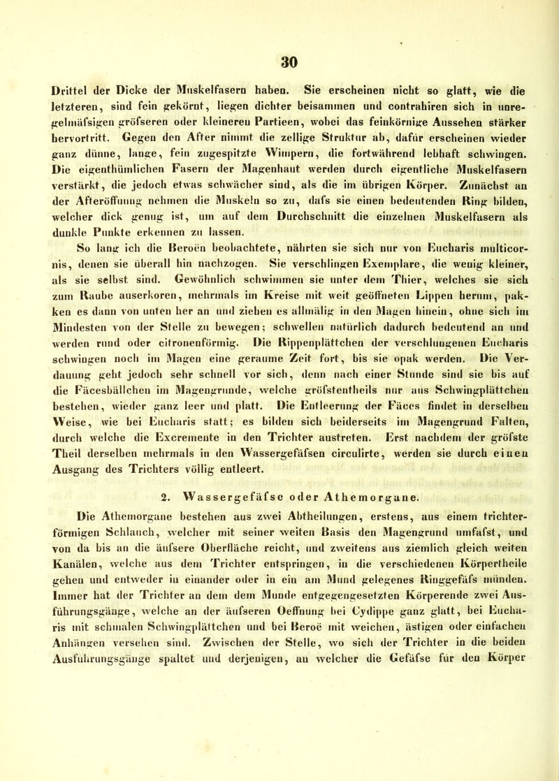 Drittel der Dicke der Muskelfasern haben. Sie erscheinen nicht so glatt, wie die letzteren, sind fein gekörnt, liegen dichter beisammen und contrahiren sich in unre- gelmäfsigen gröfseren oder kleineren Partieen, wobei das feinkörnige Aussehen stärker hervortritt. Gegen den After nimmt die zellige Struktur ab, dafiir erscheinen wieder ganz dünne, lange, fein zugespitzte Wimpern, die fortwährend lebhaft schwingen. Die cigenthümlichen Fasern der Magenhaut werden durch eigentliche Muskelfasern verstärkt, die jedoch etwas schwächer sind, als die im übrigen Körper. Zunächst au der Afteröffuuug nehmen die Muskeln so zu, dafs sie einen bedeutenden Ring bilden, welcher dick genug ist, um auf dem Durchschnitt die einzelnen Muskelfasern als dunkle Punkte erkennen zu lassen. So lang ich die Heroen beobachtete, nährten sie sich nur von Fucbaris multicor- nis, denen sie überall hin nachzogen. Sie verschlingen Exemplare, die wenig kleiner, als sie selbst sind. Gewöhnlich schwimmen sie unter dem Thier, welches sie sich zum Raube auserkoren, mehrmals im Kreise mit weit geöffneten Lippen herum, pak- ken cs dann von unten her an und ziehen es allmälig in den Magen hinein, ohne sich im Mindesten von der Stelle zu bewegen; schwellen natürlich dadurch bedeutend an und werden rund oder citronenförmig. Die Rippenplättchen der verschlungenen Eucharis schwingen noch im Magen eine geraume Zeit fort, bis sie opak werden. Die Ver- dauung gebt jedoch sehr schnell vor sich, denn nach einer Stunde sind sie bis auf die Fäcesbällchen im Magengrunde, welche gröfstentheils nur aus Schwingplättchen bestehen, wieder ganz leer und platt. Die Entleerung der Fäces findet in derselben Weise, wie bei Eucharis statt; es bilden sich beiderseits im Magengrund Falten, durch welche die Excremente in den Trichter austreten. Erst nachdem der gröfste Theil derselben mehrmals in den Wassergefäfsen circulirte, werden sie durch einen Ausgang des Trichters völlig entleert. 2. Wassergefäfse oder Athemorgane. Die Athemorgane bestehen aus zwei Abtheilungen, erstens, aus einem trichter- förmigen Schlauch, welcher mit seiner weiten Basis den Magengrund umfafst, und von da bis an die äufsere Oberfläche reicht, und zweitens aus ziemlich gleich weiten Kanälen, welche aus dem Trichter entspringen, in die verschiedenen Körpertheile gehen und entweder iu einander oder in ein am Mund gelegenes Ringgefäfs münden. Immer hat der Trichter an dem dem Munde entgegengesetzten Körperende zwei Aus- führungsgänge, welche an der äufseren Oeffhung bei Cj'dippe ganz glatt, bei Eucha- ris mit schmalen Schwingplättchen und bei Beroe mit weichen, ästigen oder einfachen Anhängen versehen sind. Zwischen der Stelle, wo sich der Trichter in die beiden Ausfuhrungsgänge spaltet und derjenigen, au welcher die Gefäfse für den Körper